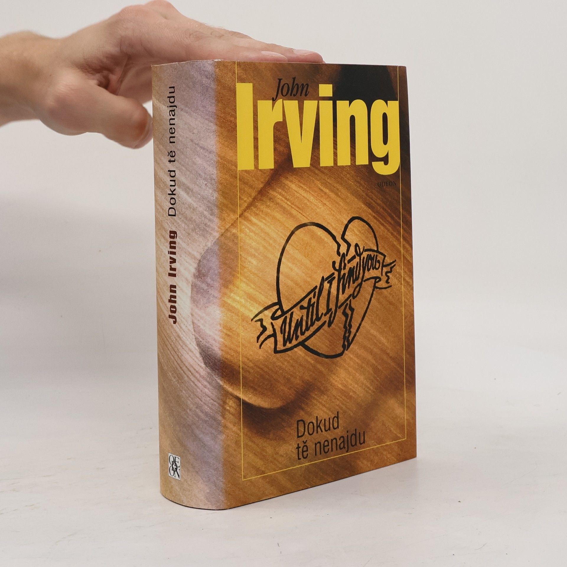 John Irving Dokud tě nenajdu