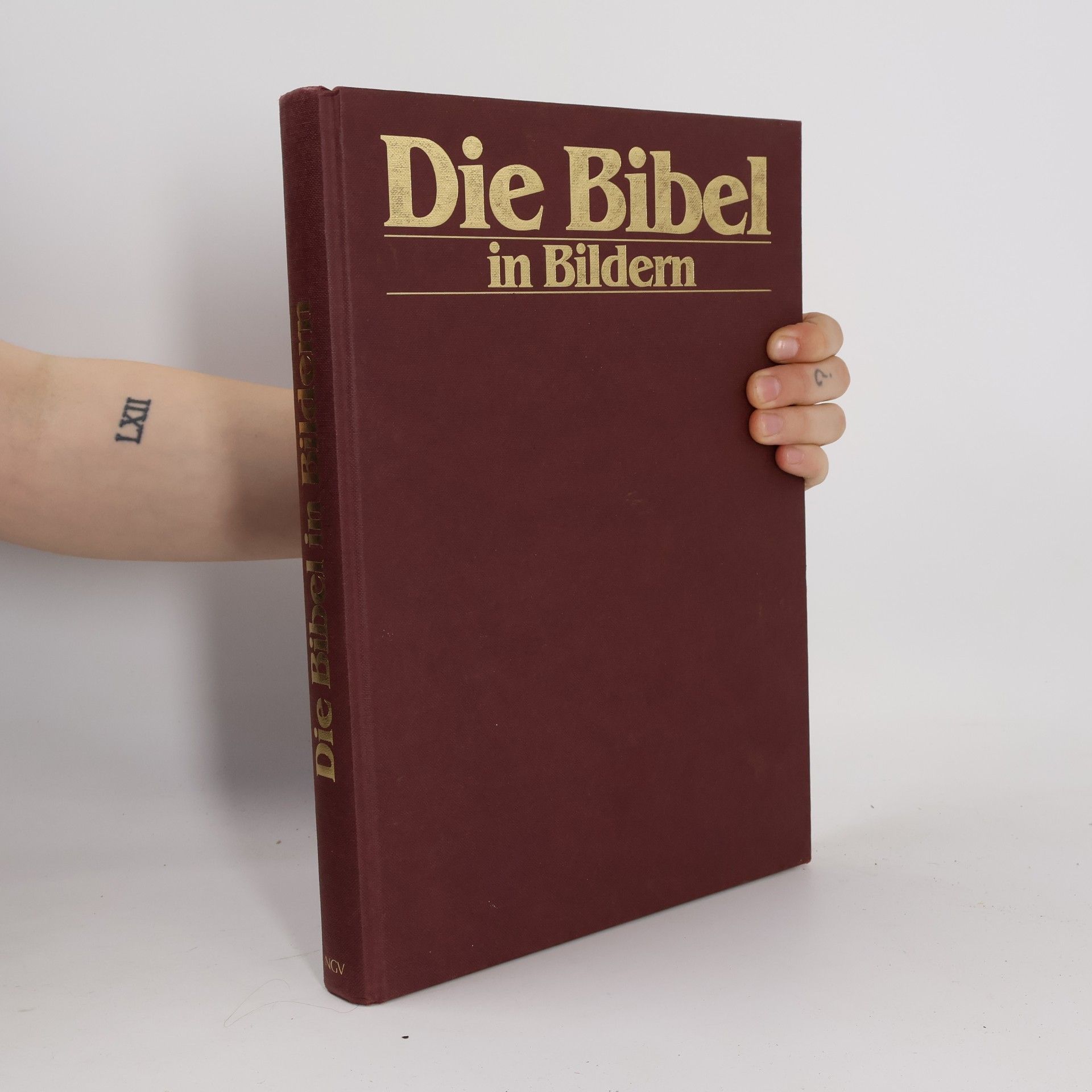 Autorenkollektiv Die Bibel in Bildern. Schatzkammer der Malerei