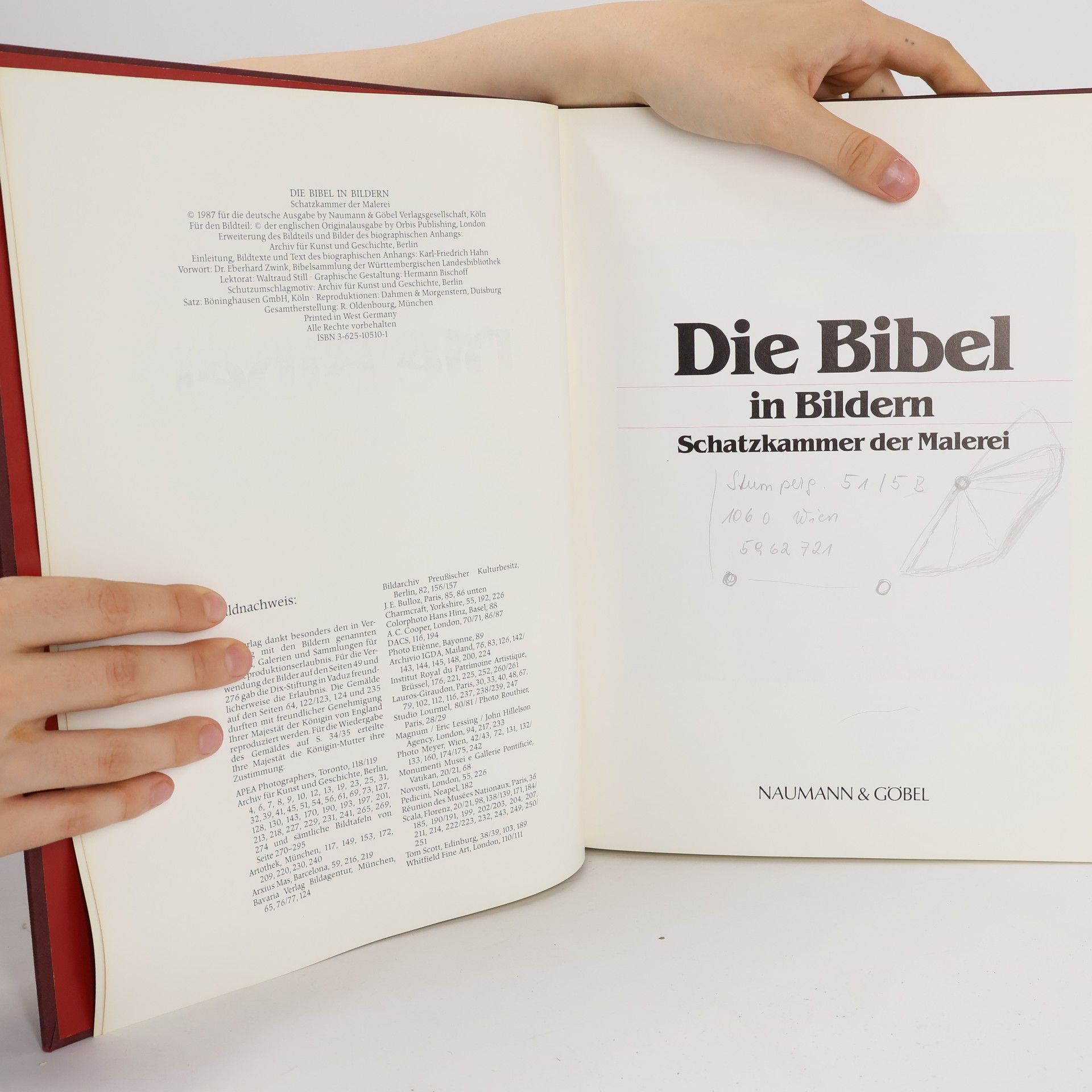 Autorenkollektiv Die Bibel in Bildern. Schatzkammer der Malerei