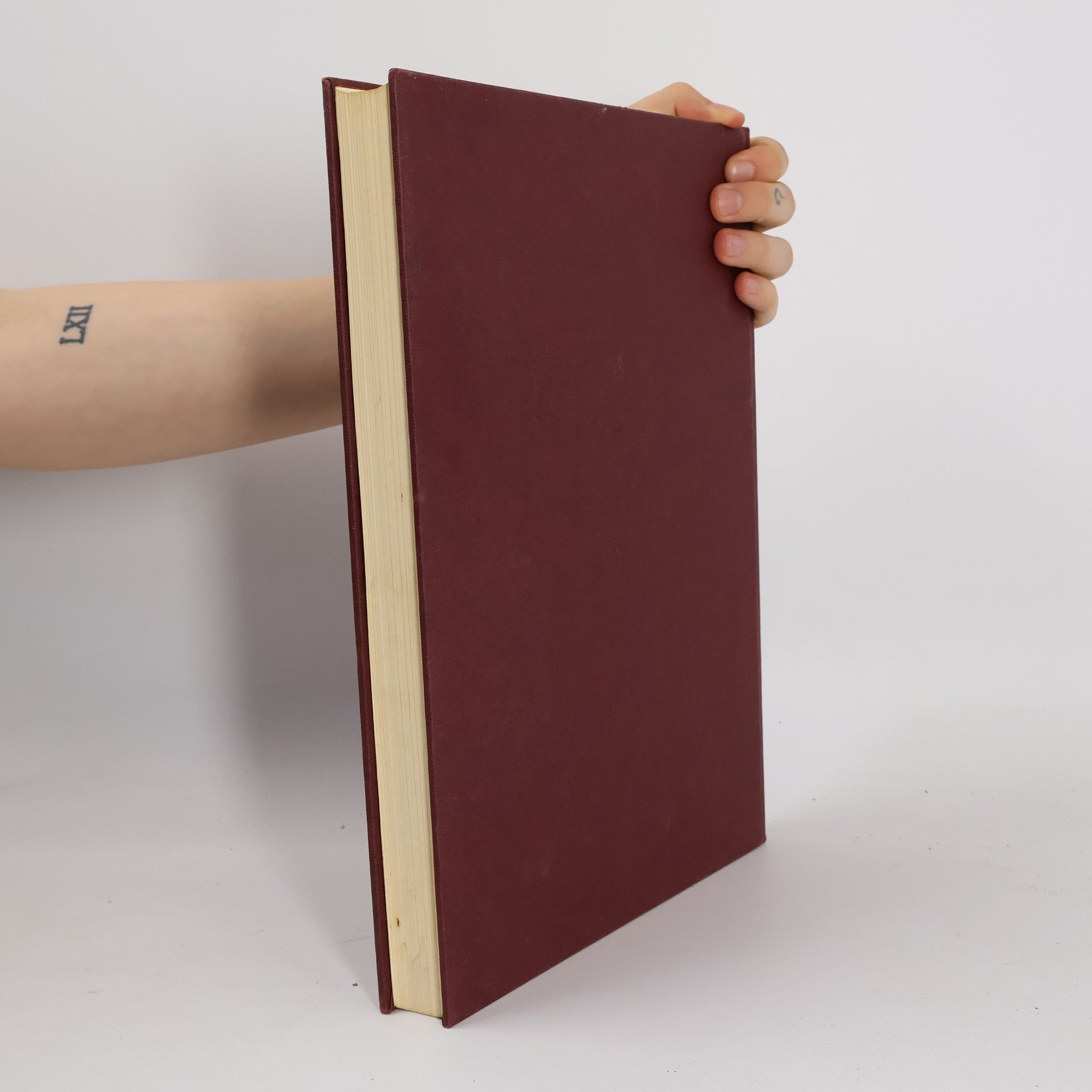 Autorenkollektiv Die Bibel in Bildern. Schatzkammer der Malerei