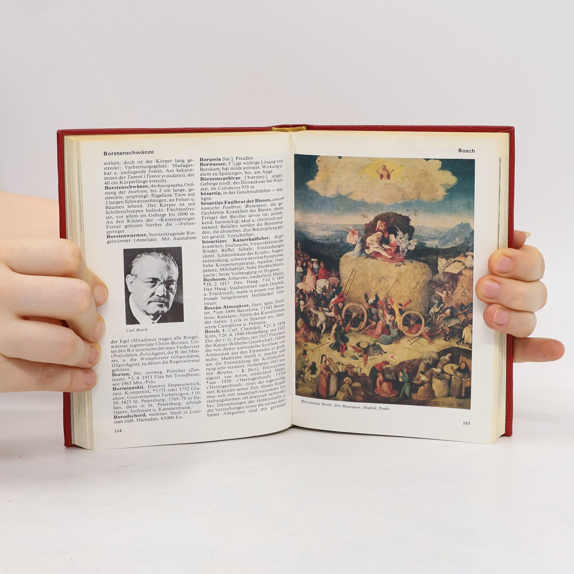 Autorenkollektiv Das moderne Lexikon 3. Bf-Cha