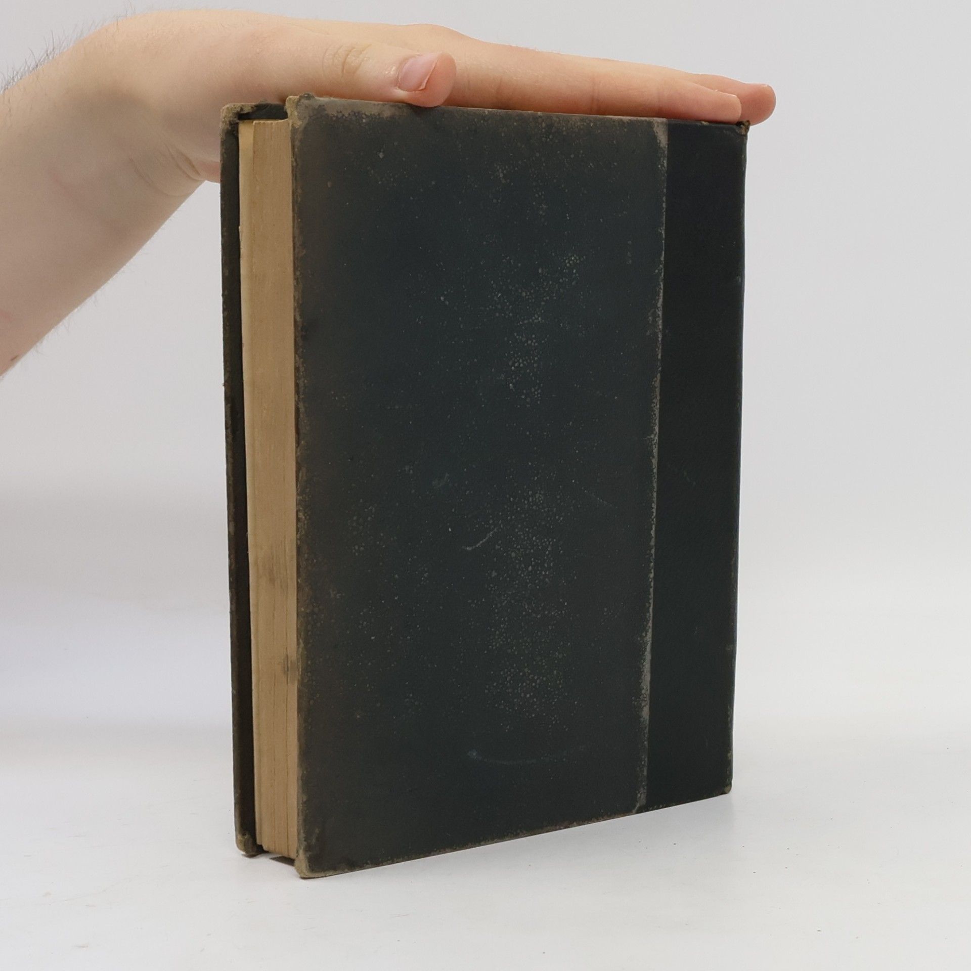 Autorenkollektiv La cité antique