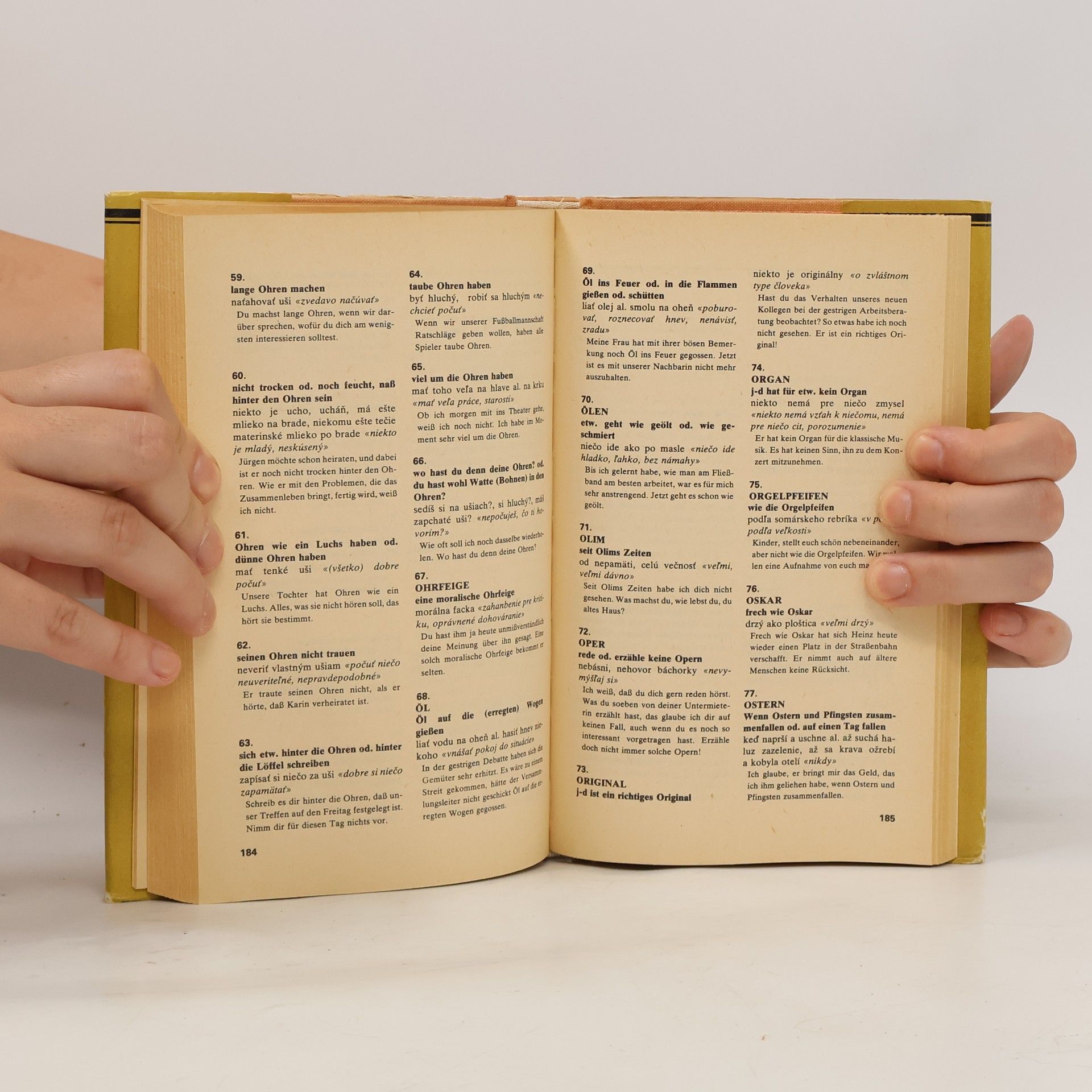 Autorenkollektiv Nemecko-slovenský frazeologický slovník