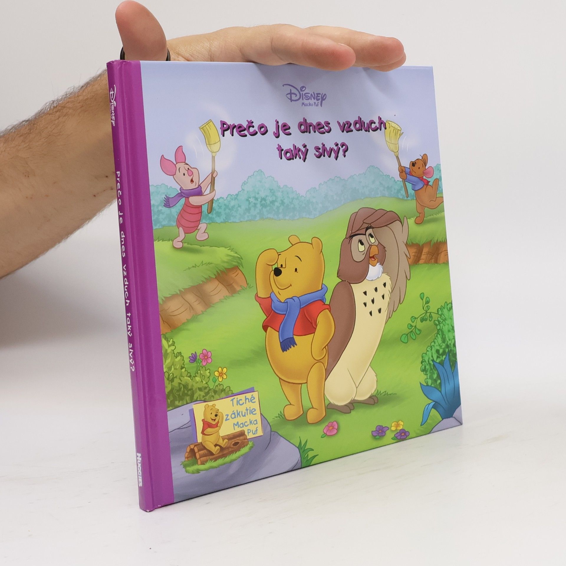 Autorenkollektiv Prečo je dnes vzduch taký sivý?