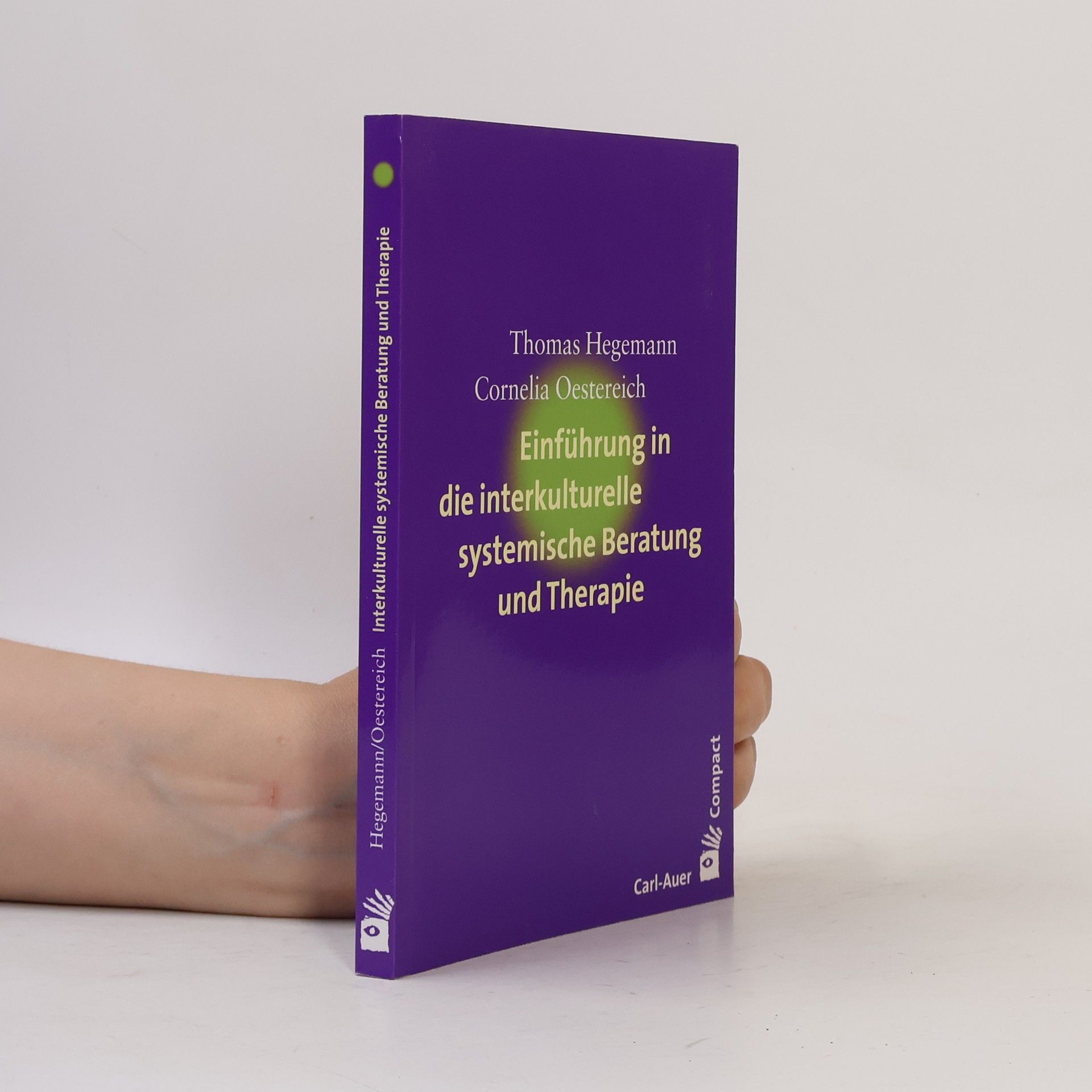 Cornelia Oestereich Einführung in die interkulturelle systemische Beratung und Therapie