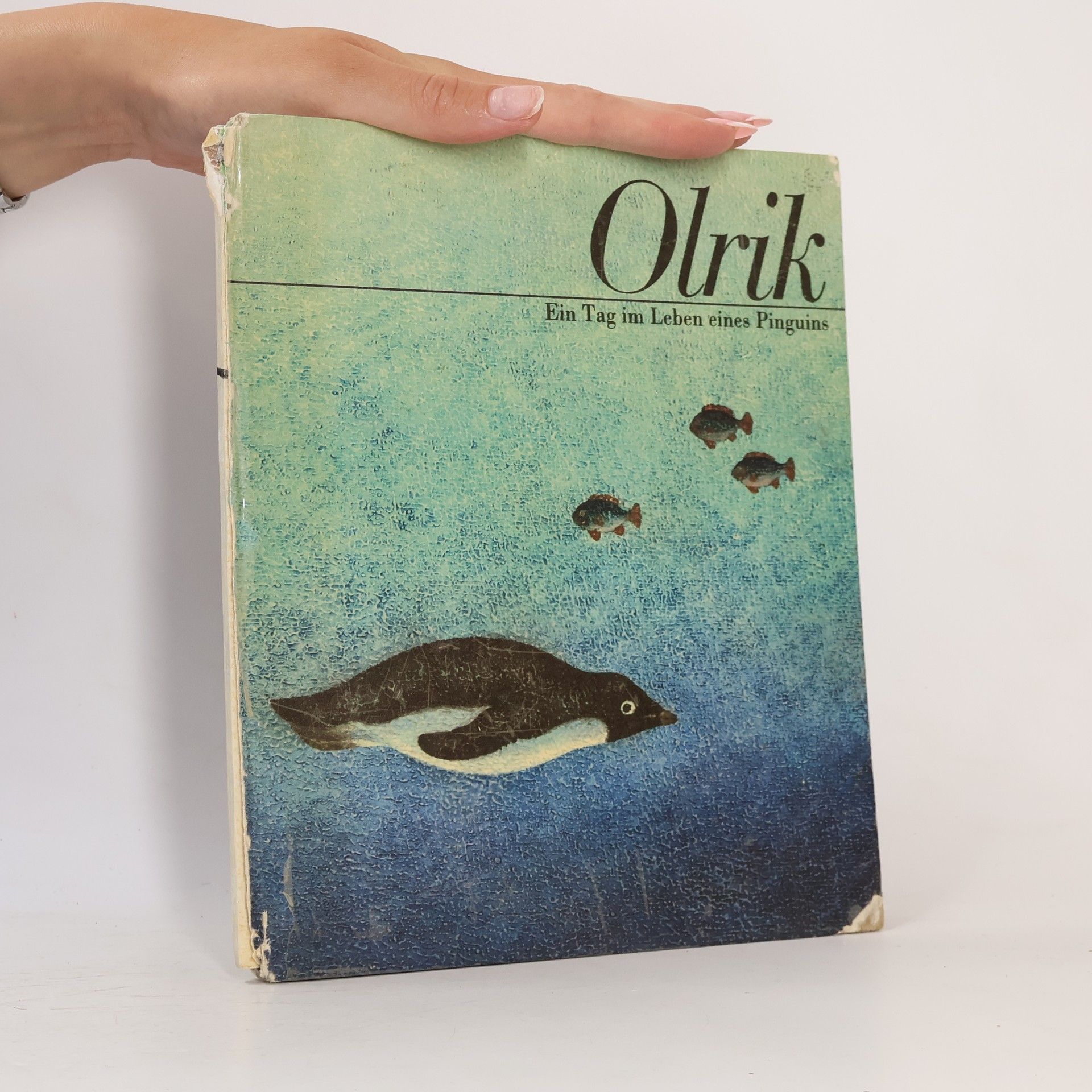 Autorenkollektiv Olrik. Ein Tag im Leben eines Pinguins