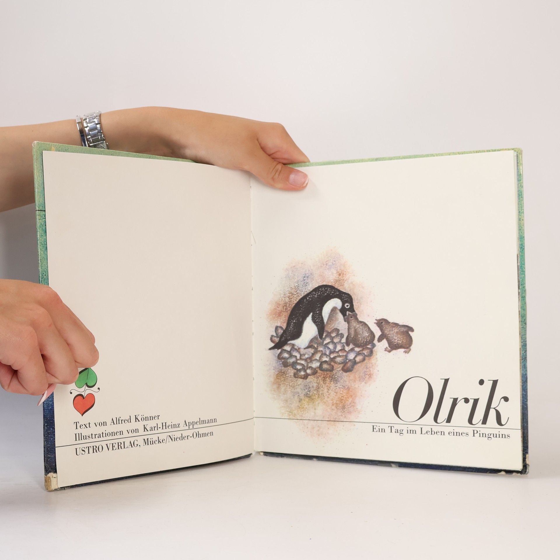 Autorenkollektiv Olrik. Ein Tag im Leben eines Pinguins
