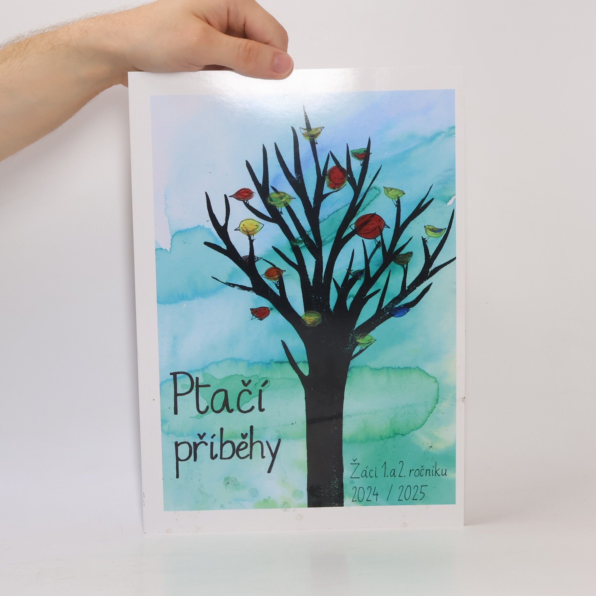 Various authors Ptačí příběhy