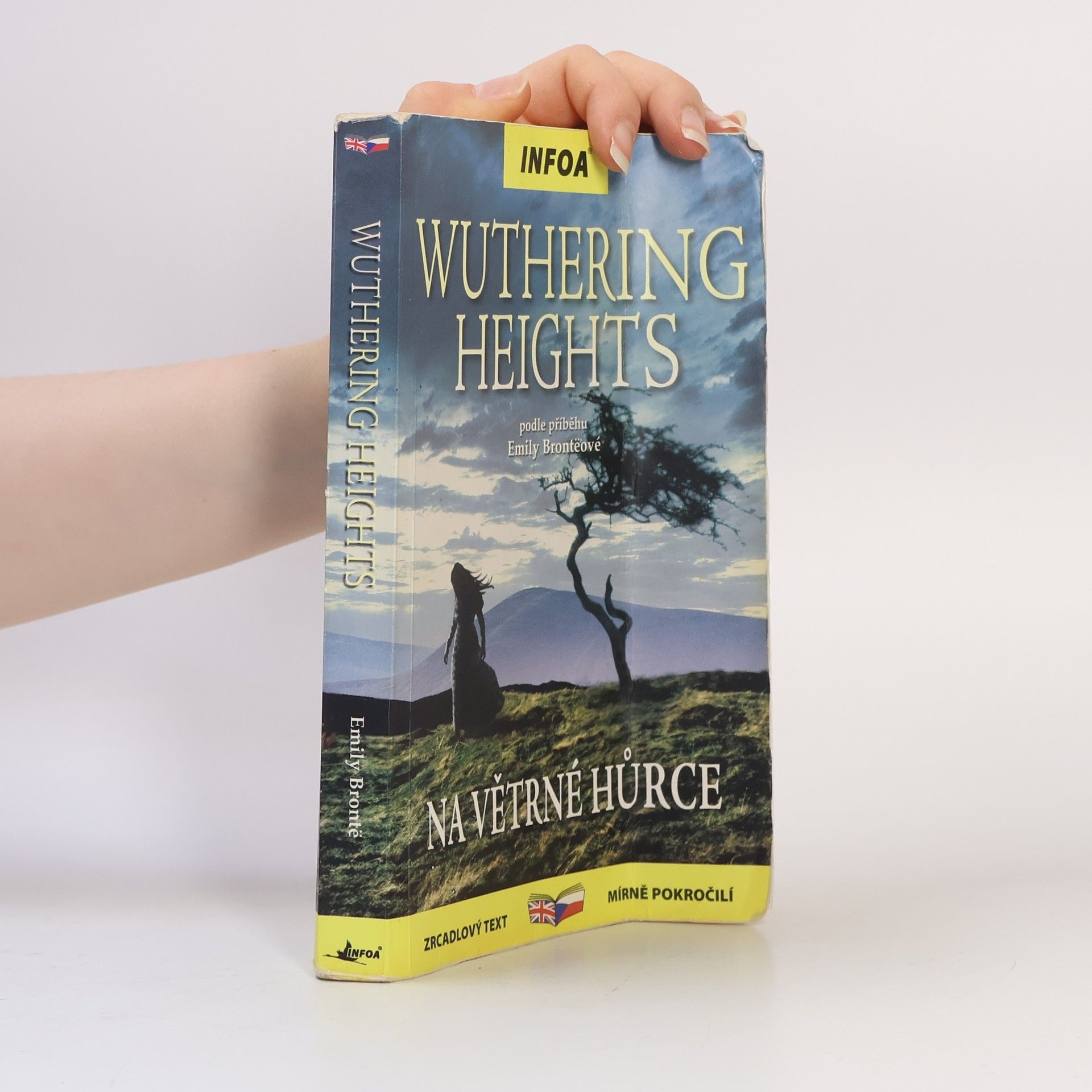 Emily Brontë Wuthering Heights