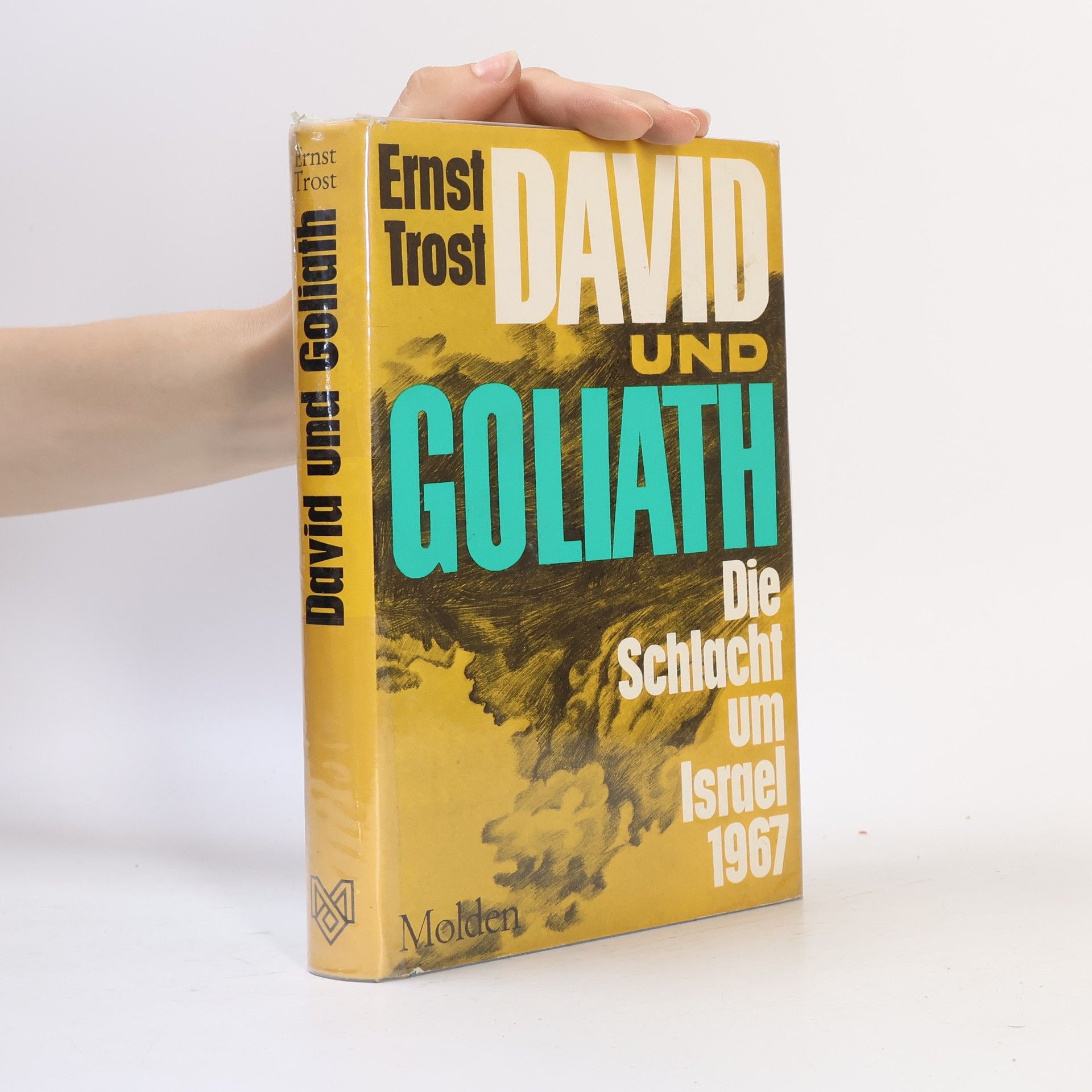 David und Goliath. Die Schlacht um Israel 1967