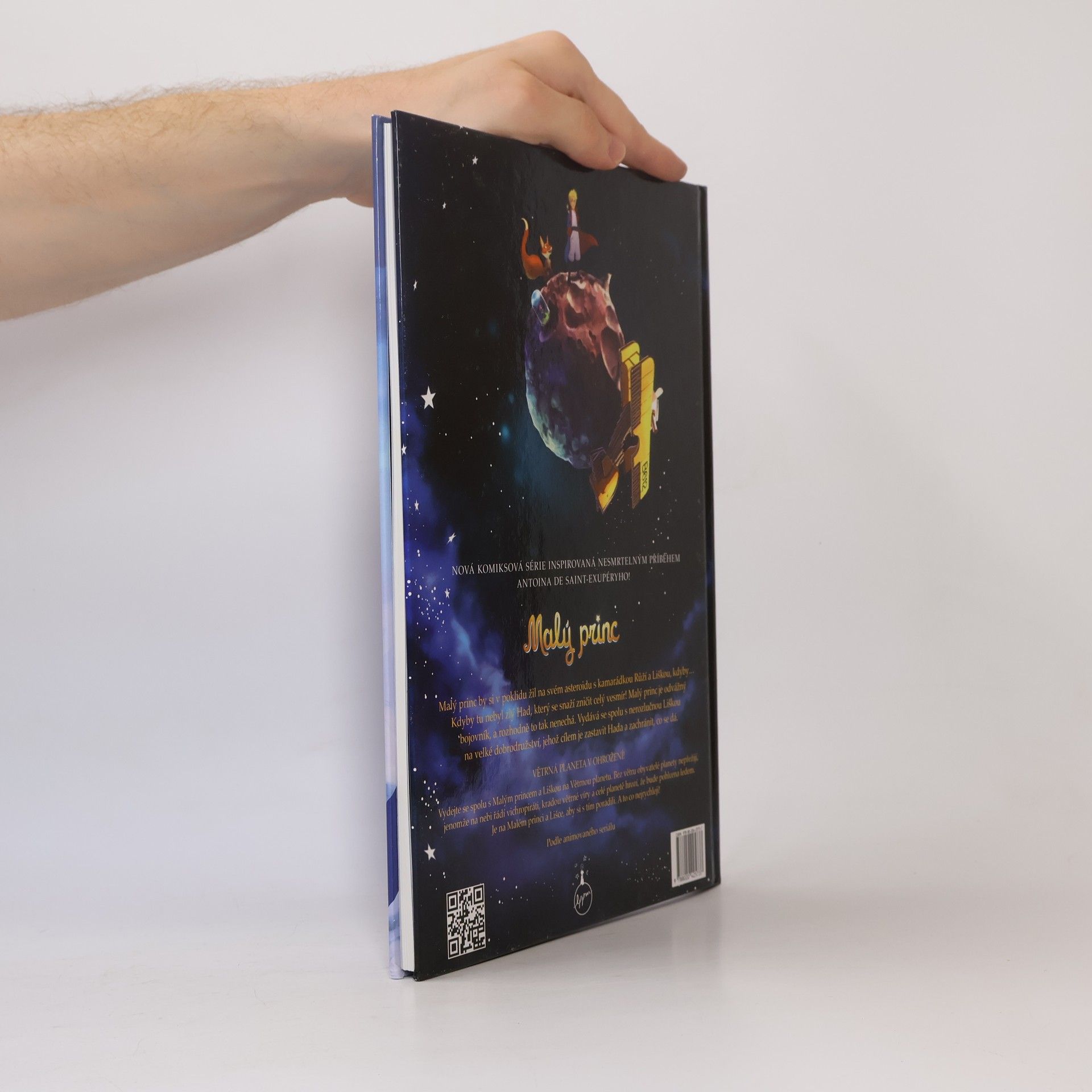 Autorenkollektiv Malý princ a Větrná planeta