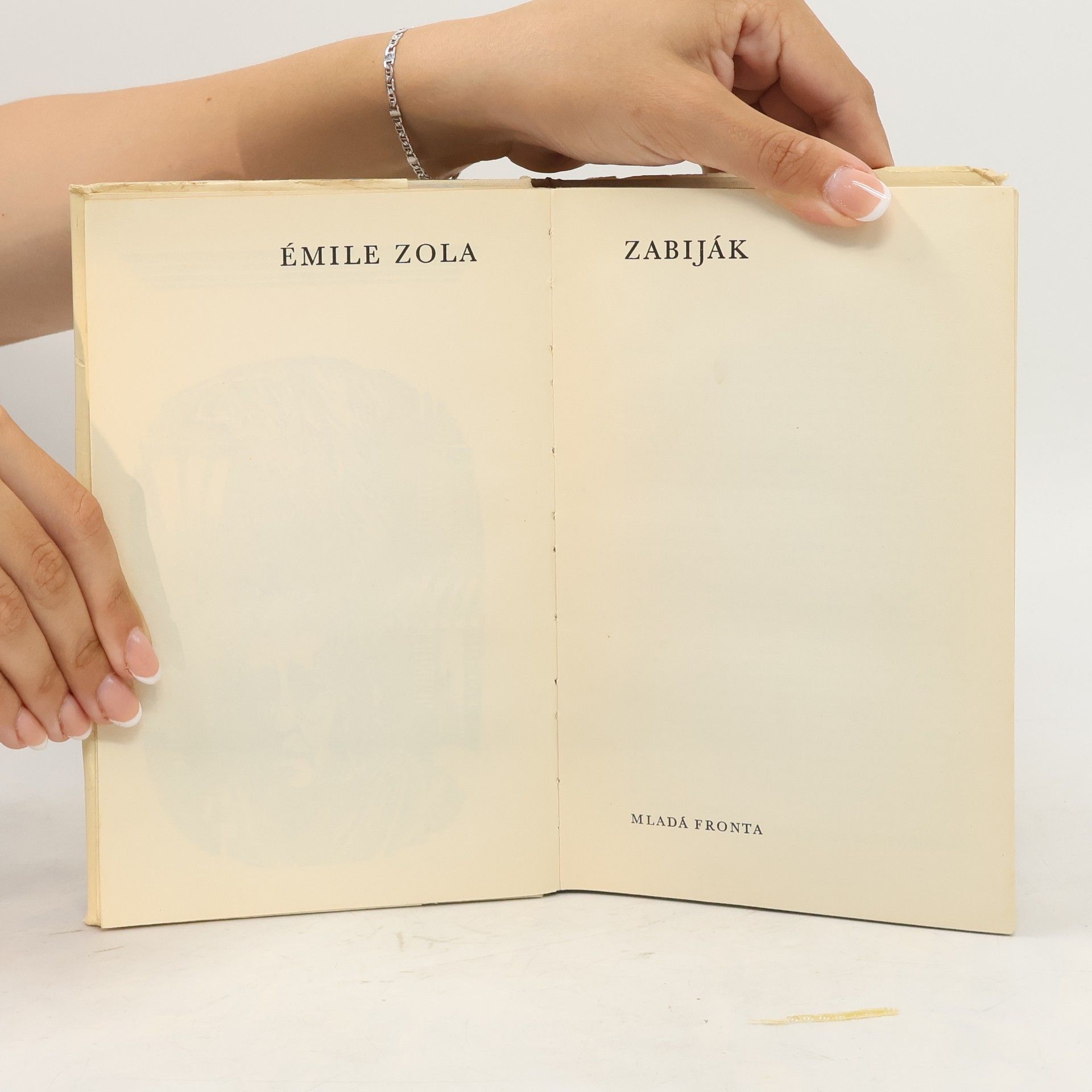 Émile Zola Zabiják