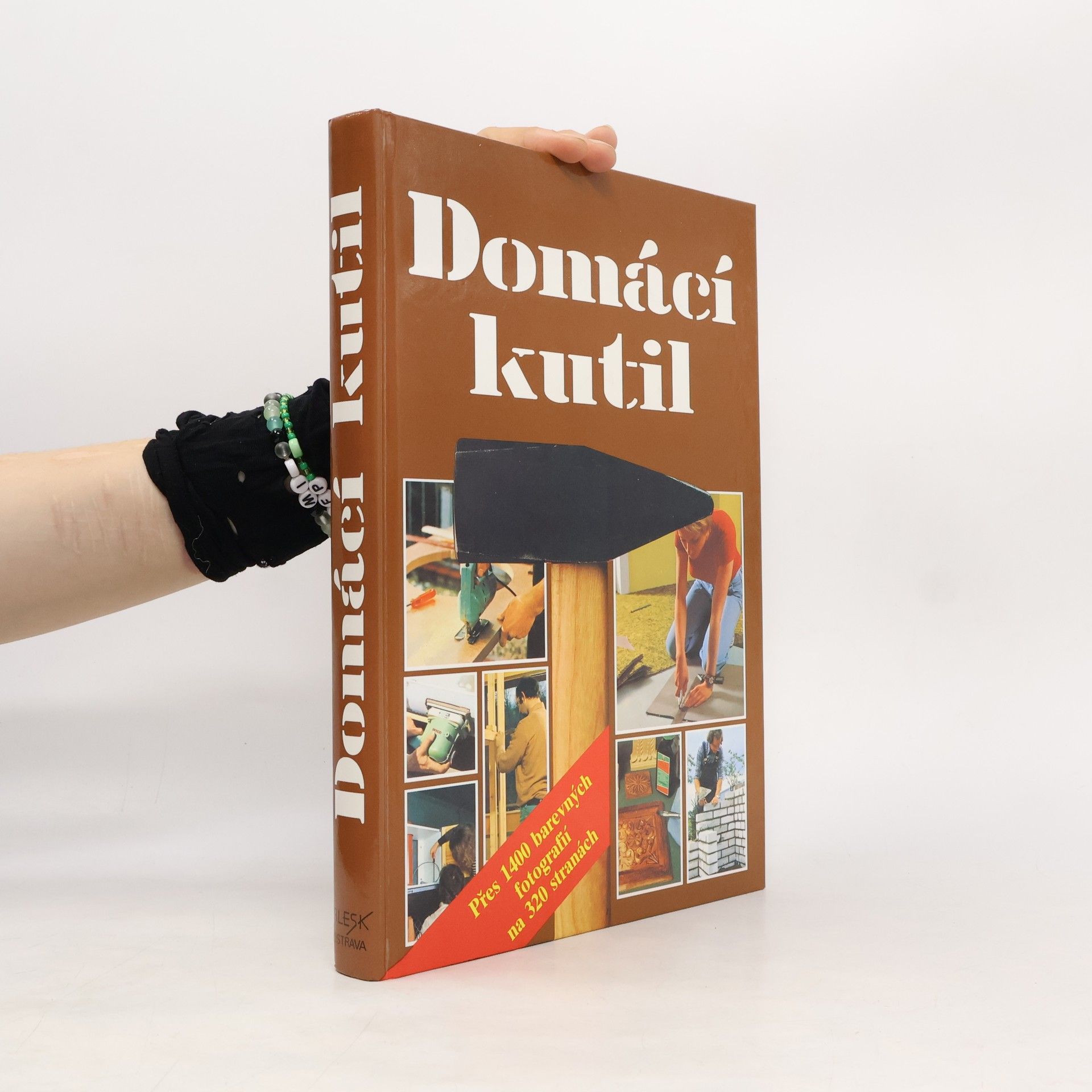 Václav Škoda Domácí kutil