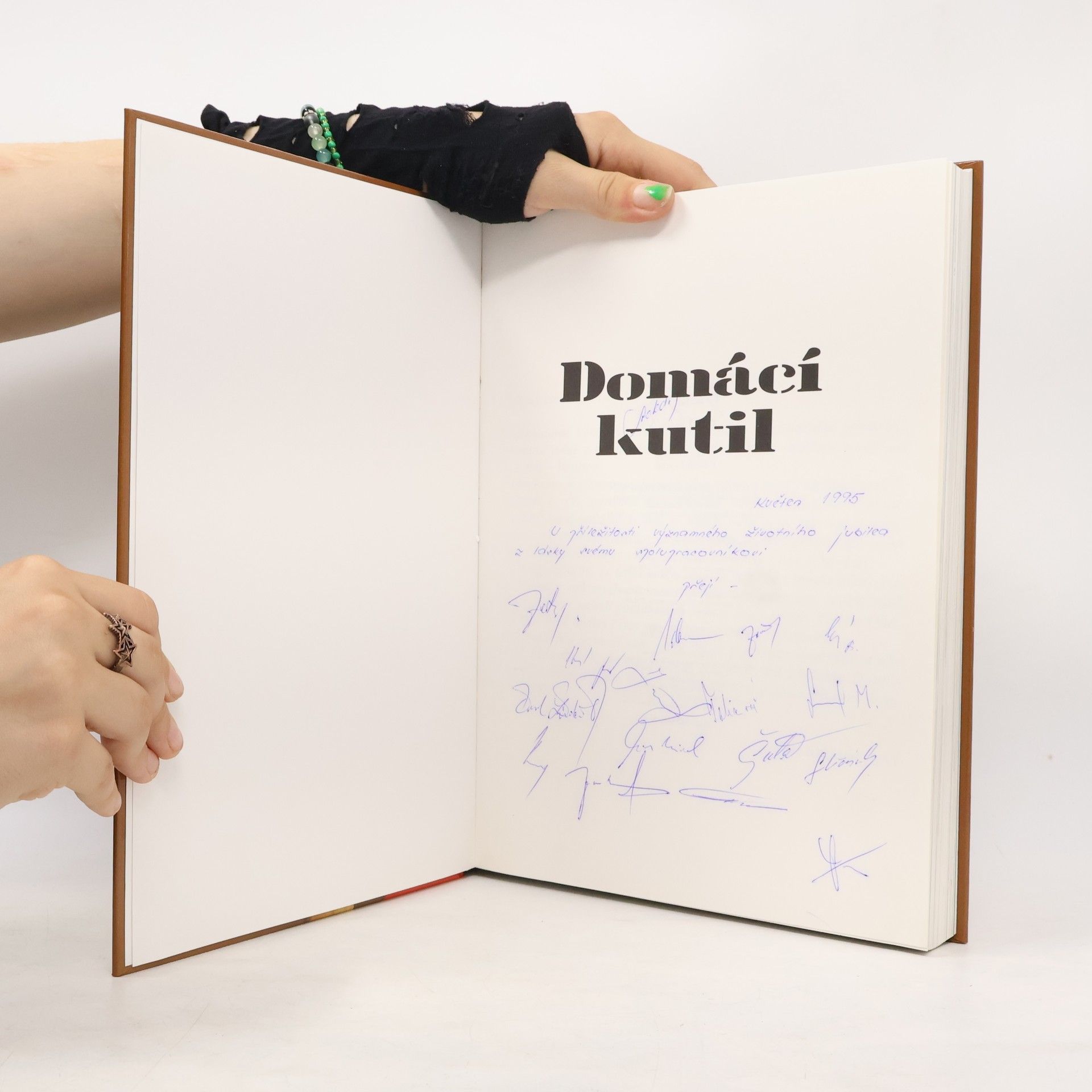 Václav Škoda Domácí kutil