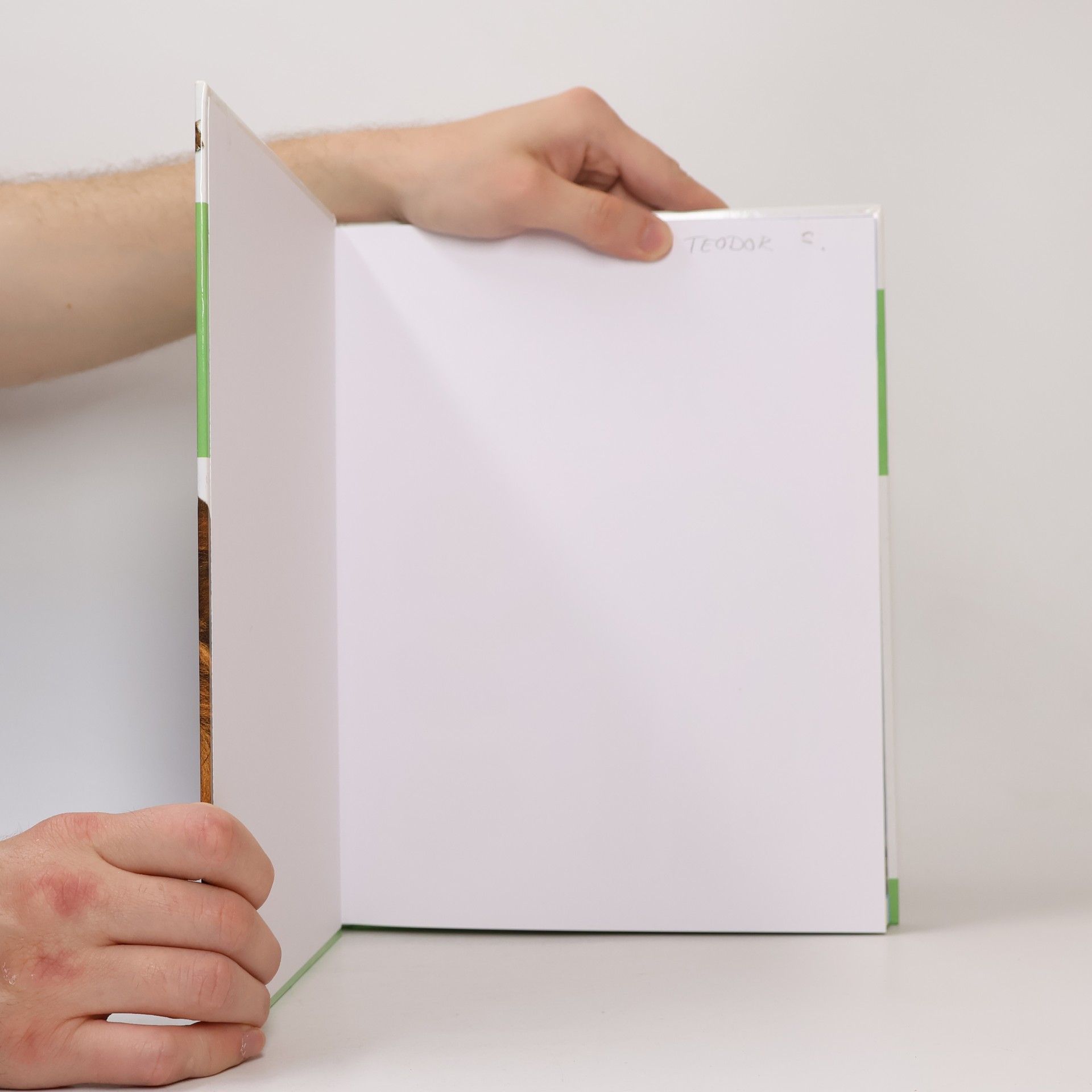 Kolektiv autorů První encyklopedie zvířat