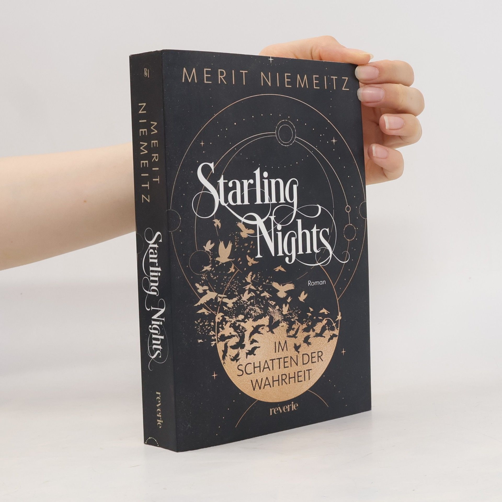 Merit Niemeitz Starling Nights 1