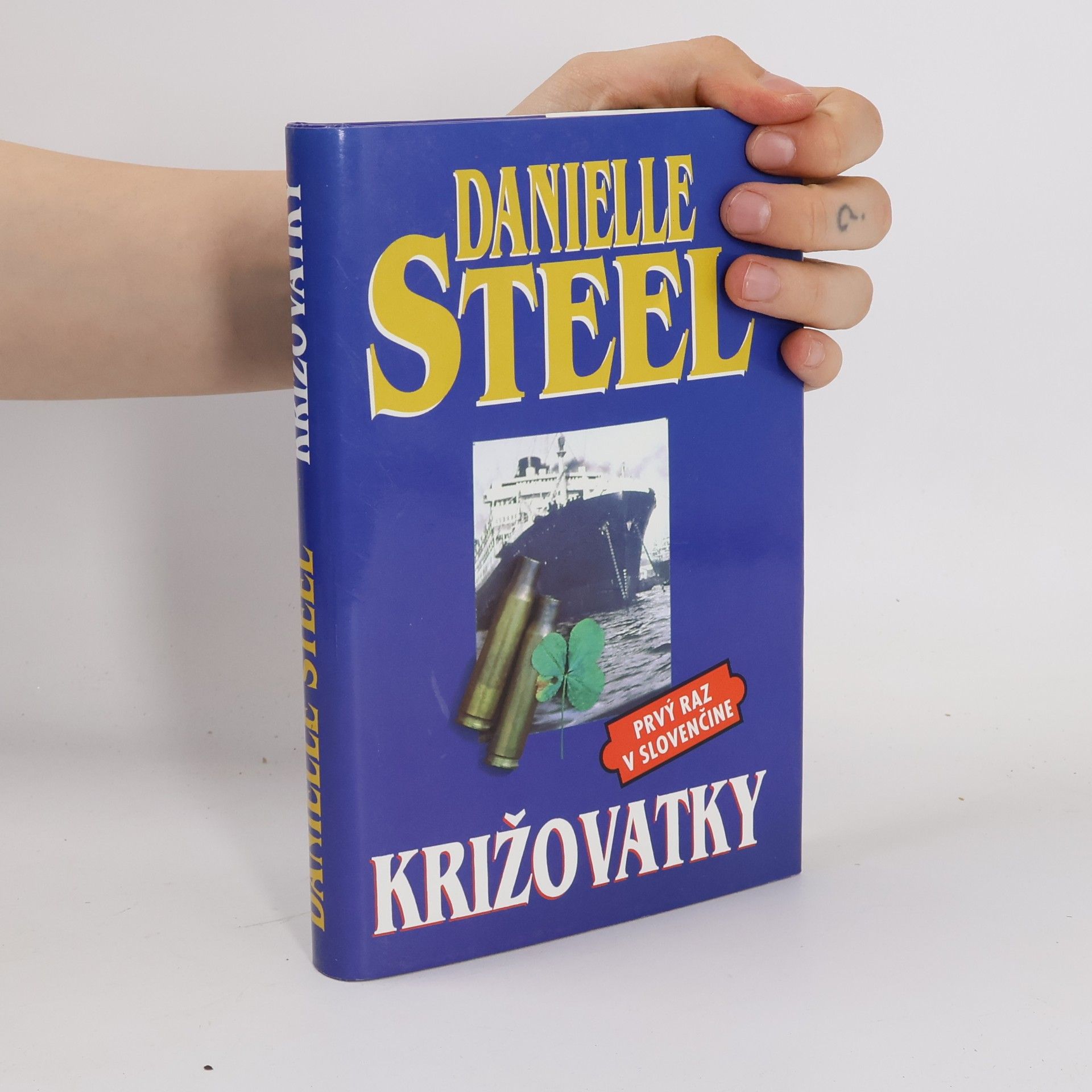 Danielle Steel Križovatky