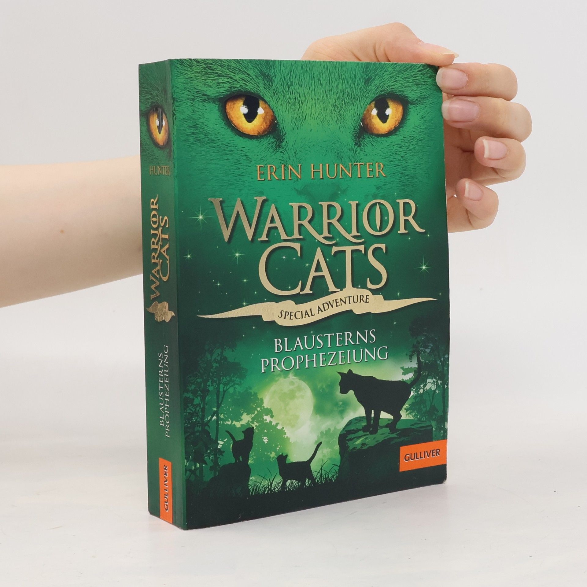 Erin Hunter Warrior Cats - Special Adventure, Blausterns Prophezeiung