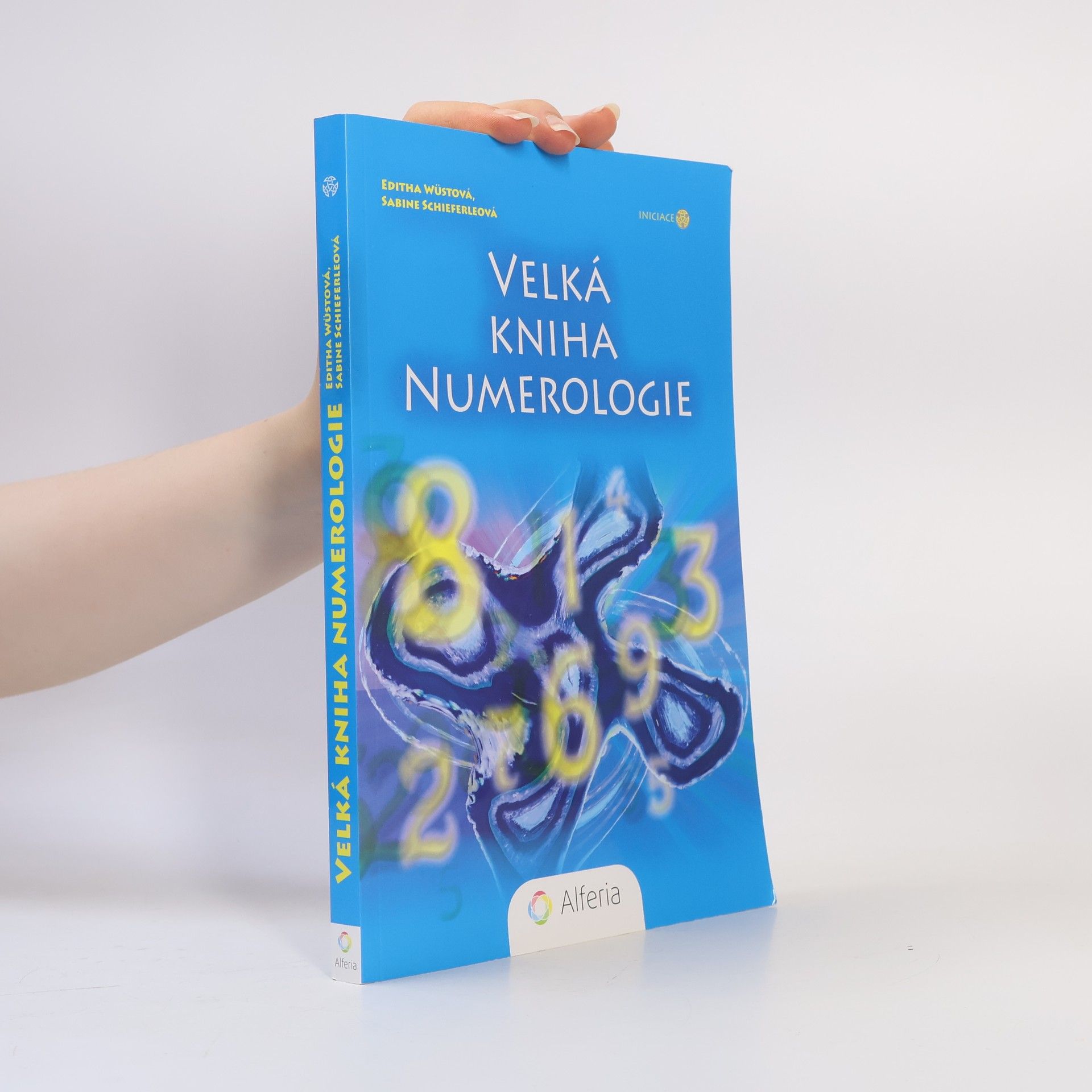 Editha Wüst Velká kniha numerologie