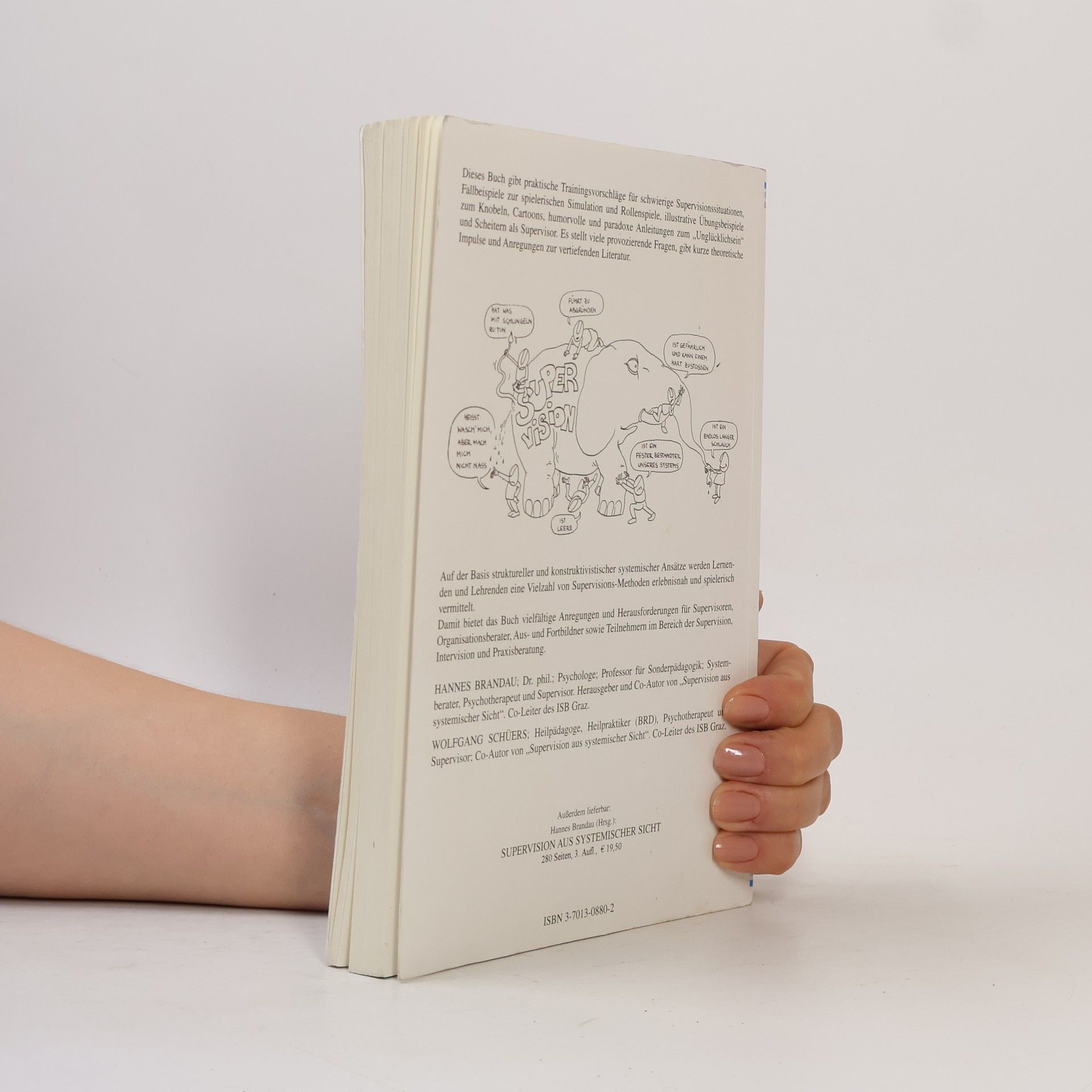 Hannes Brandau Spiel- und Übungsbuch zur Supervision