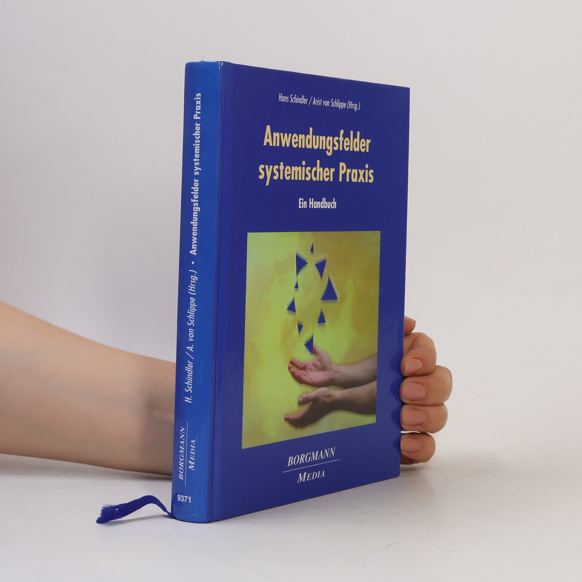 Anwendungsfelder systemischer Praxis