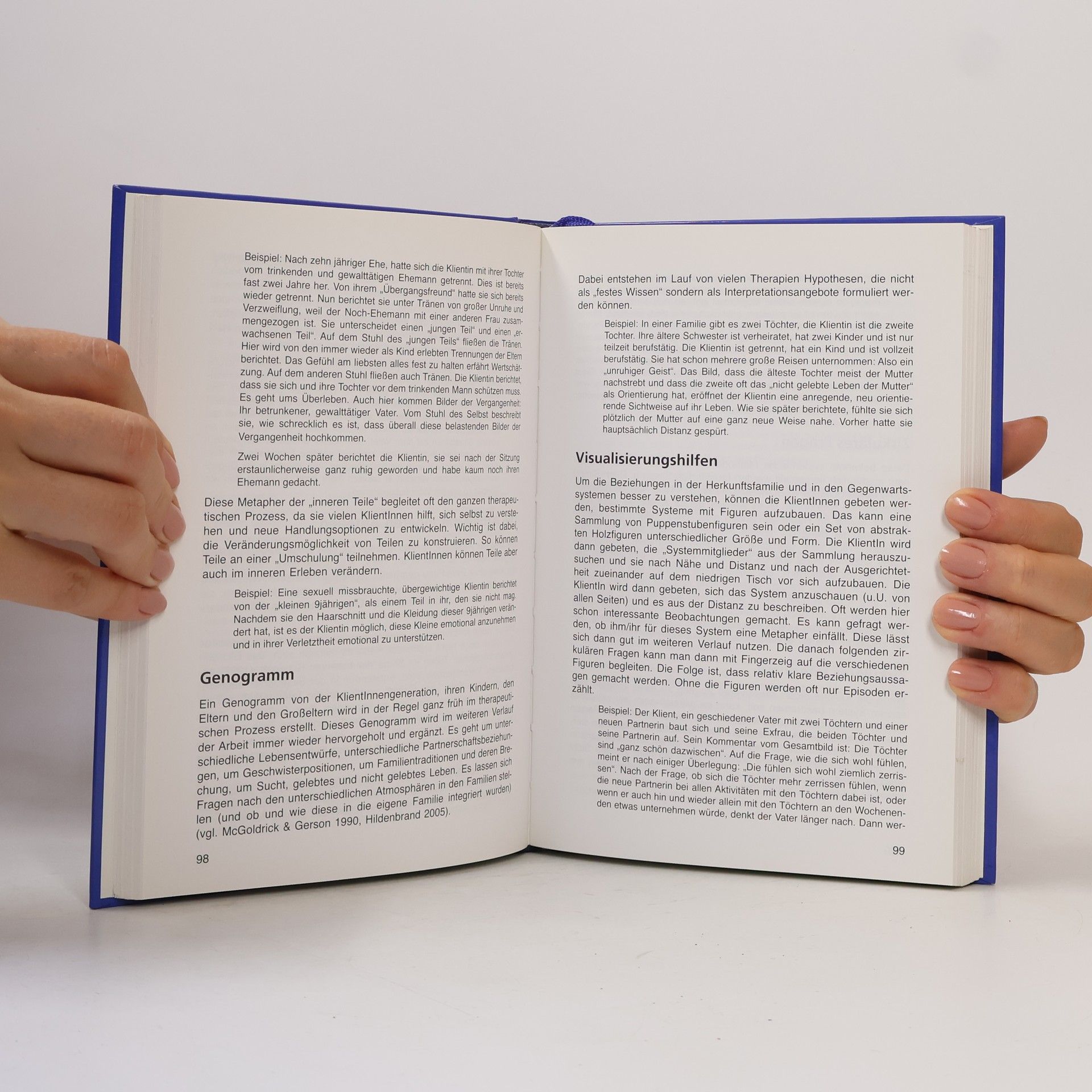 Hans Schindler Anwendungsfelder systemischer Praxis