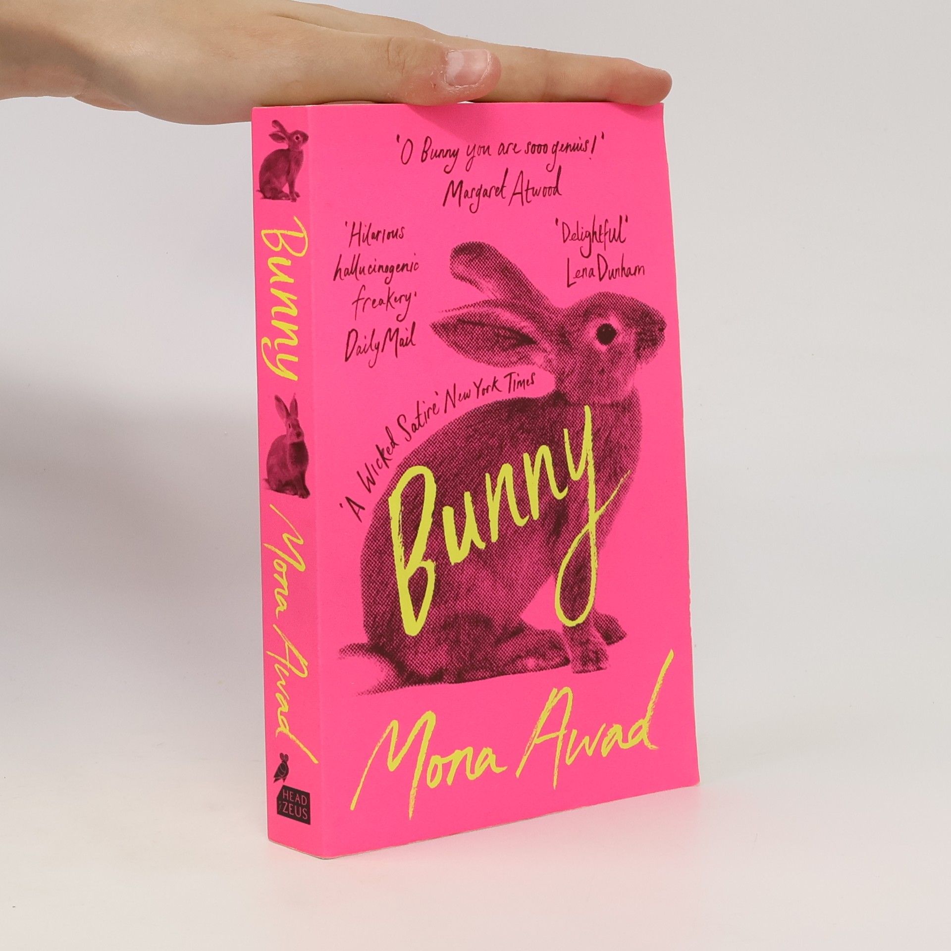 Mona Awad Bunny