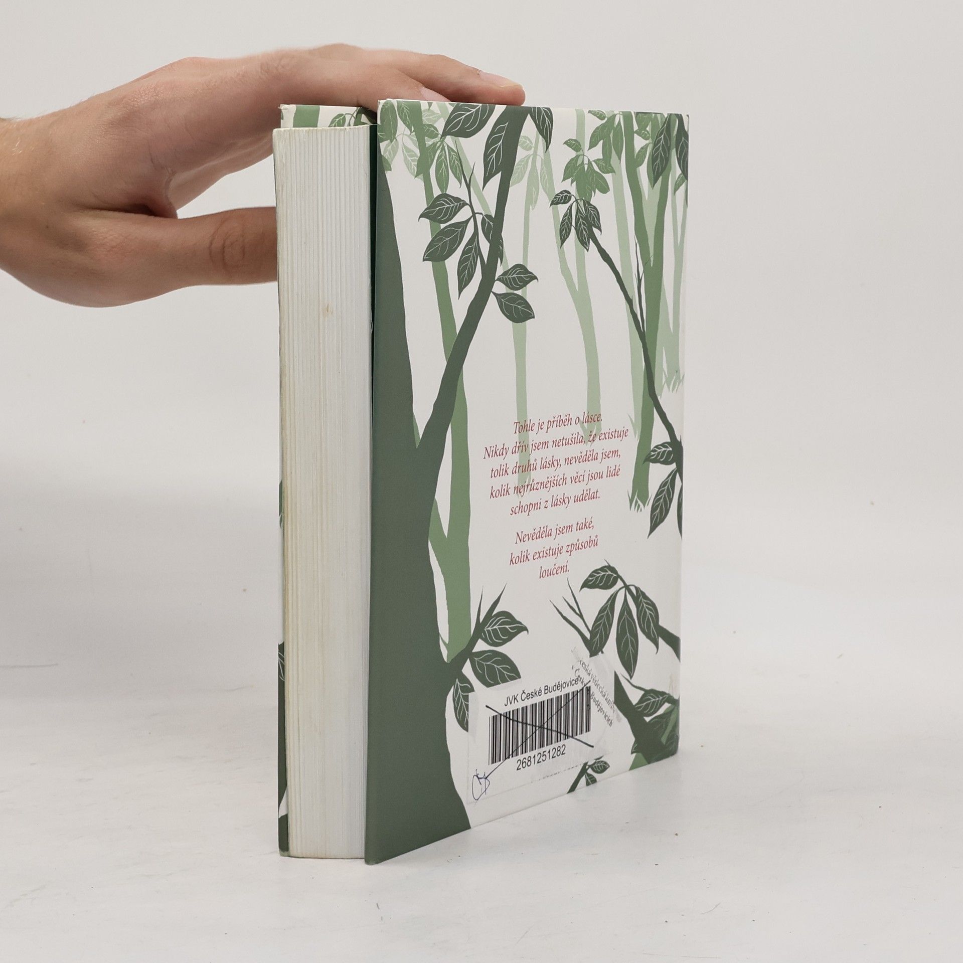 Maggie Stiefvater Váhání