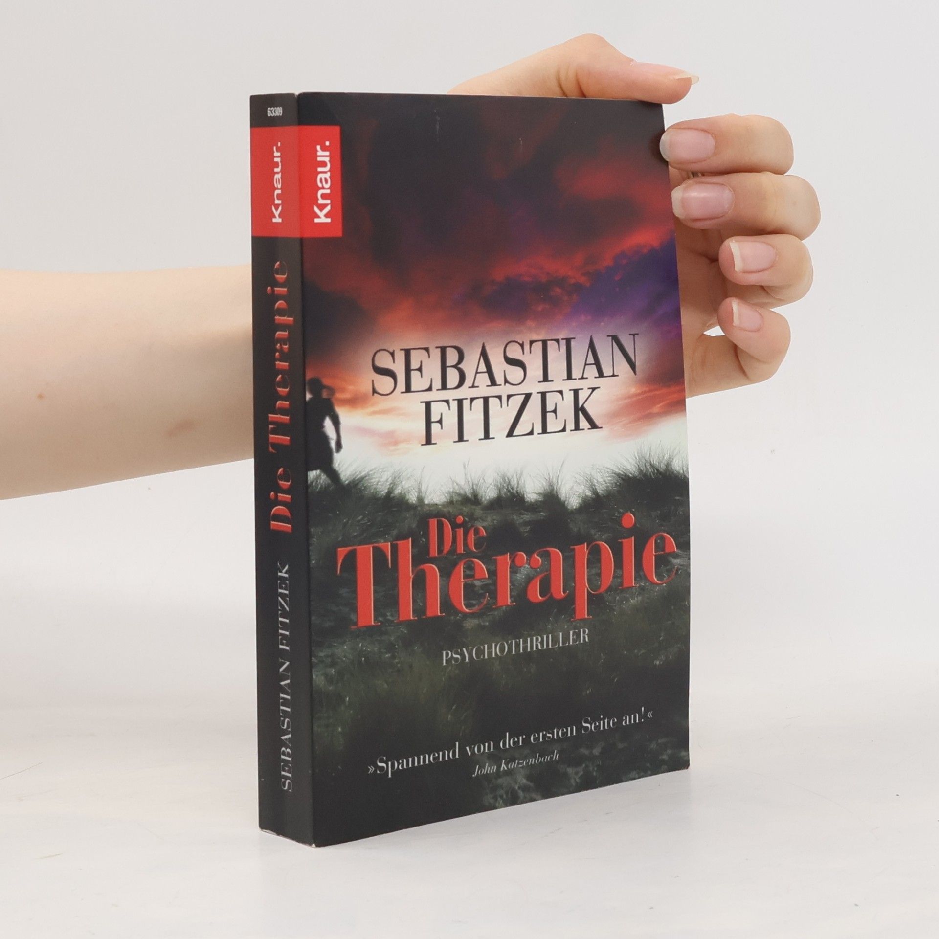 Sebastian Fitzek Die Therapie