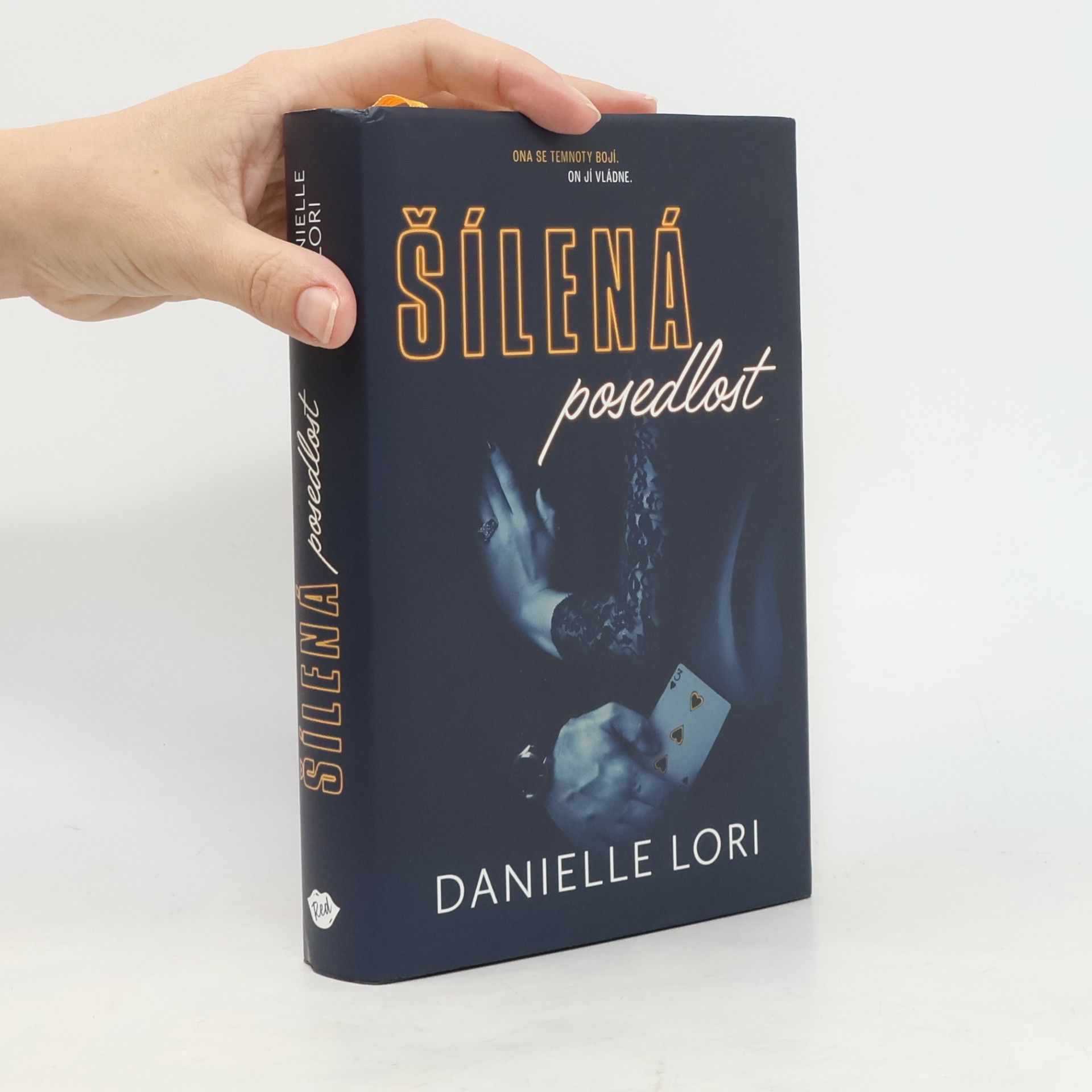 Danielle Lori Šílená posedlost