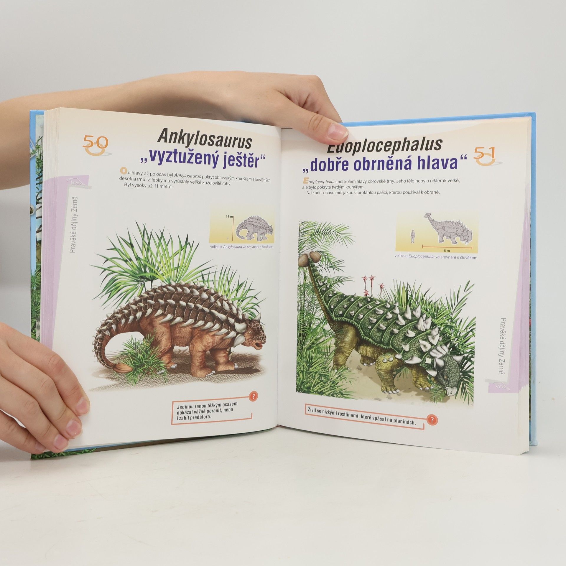 Collectif d'auteurs Encyklopedie: Pravěký svět