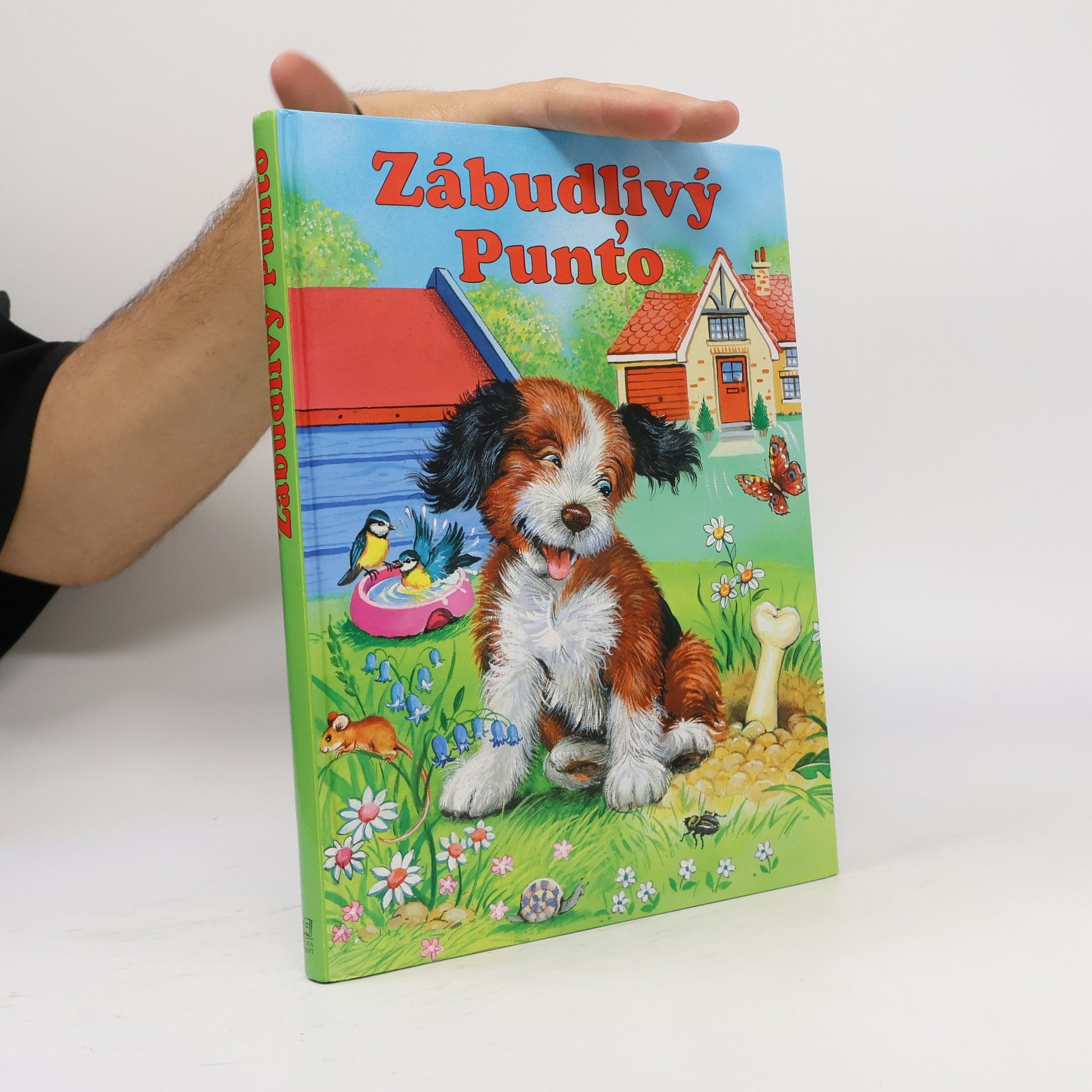 Zábudlivý Punťo