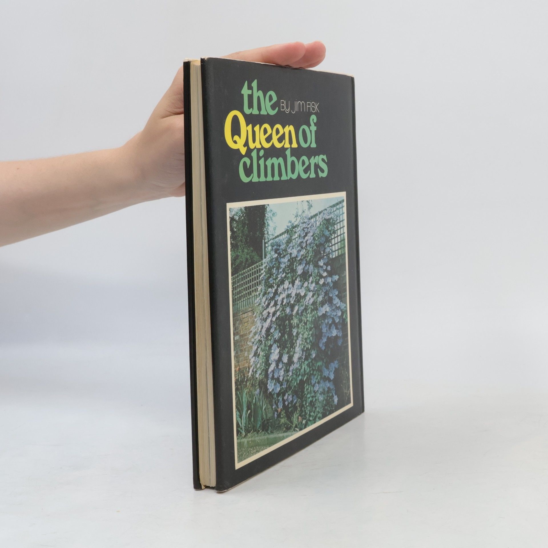 Jim Fisk The Queen of Climbers
