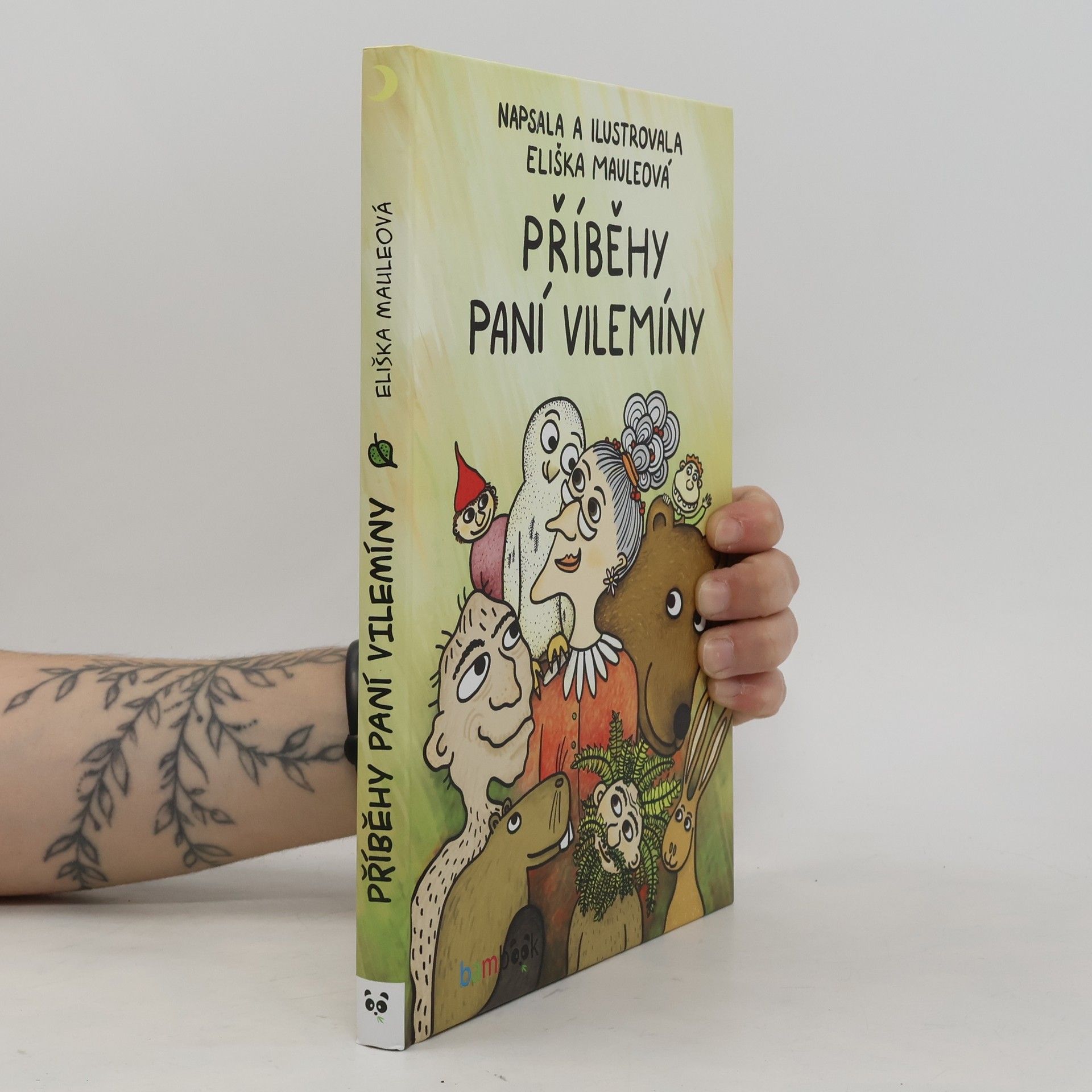 Eliška Mauleová Příběhy paní Vilemíny