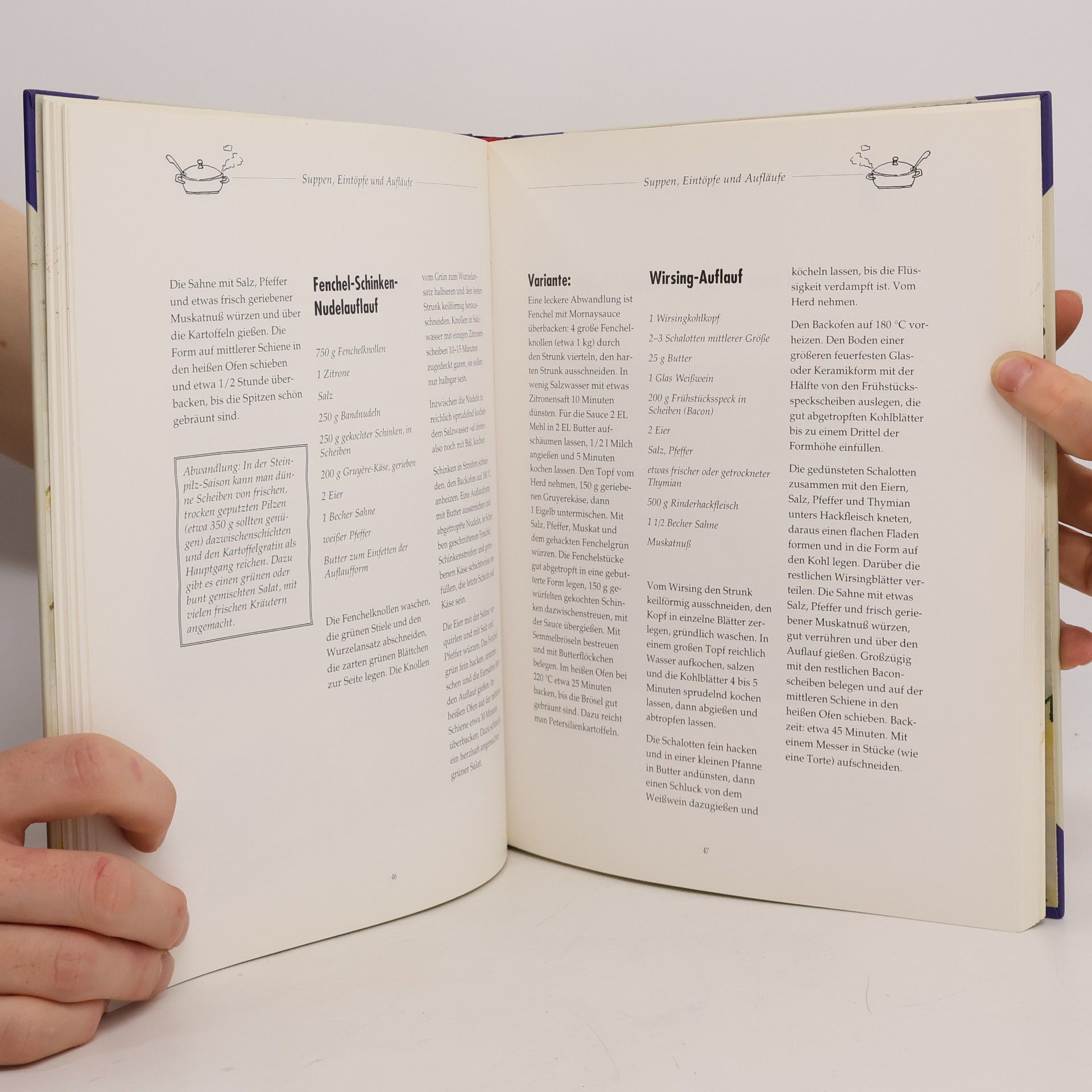 Alfred Biolek Meine Rezepte