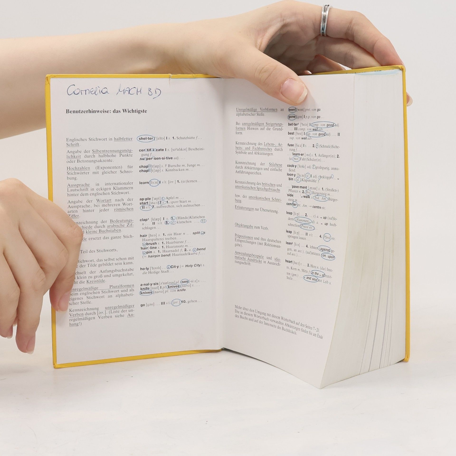 Heinz Messinger Langenscheidts großes Schulwörterbuch Englisch-Deutsch
