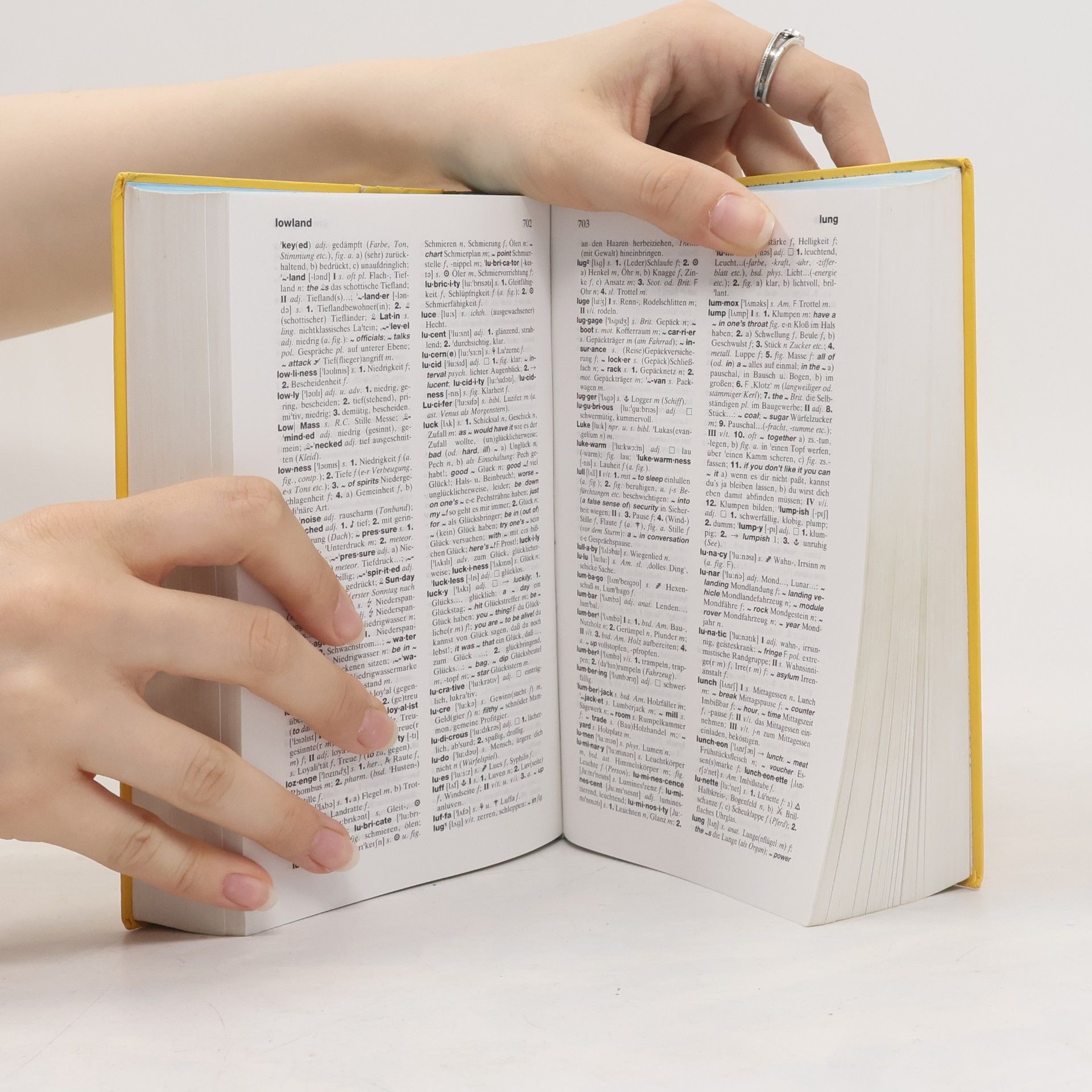 Heinz Messinger Langenscheidts großes Schulwörterbuch Englisch-Deutsch