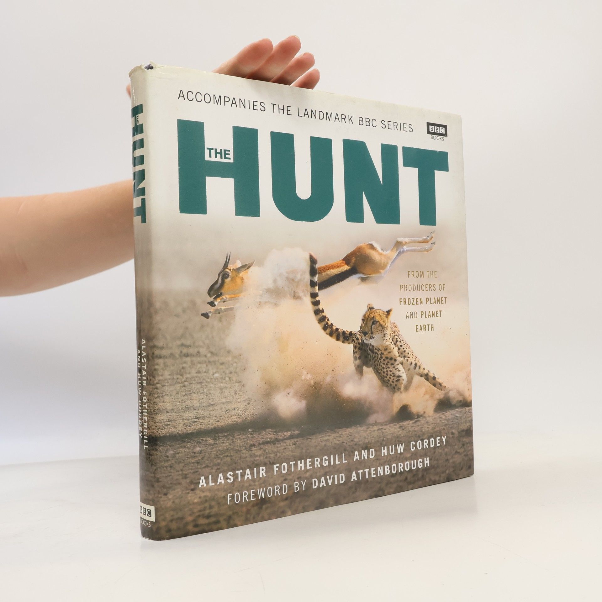 Huw Cordey The Hunt