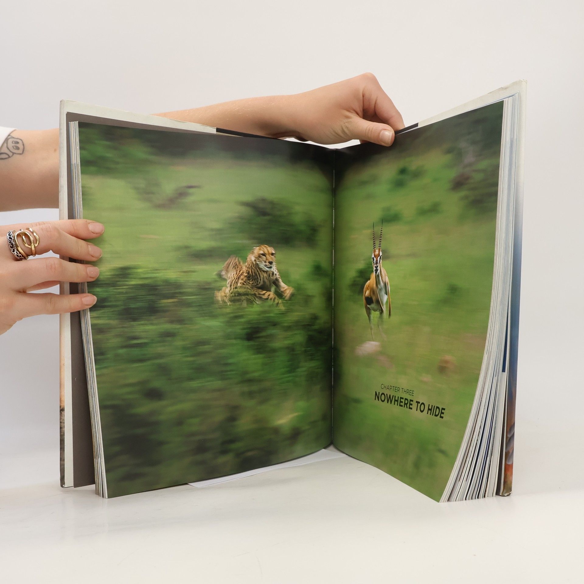 Alastair Fothergill The Hunt