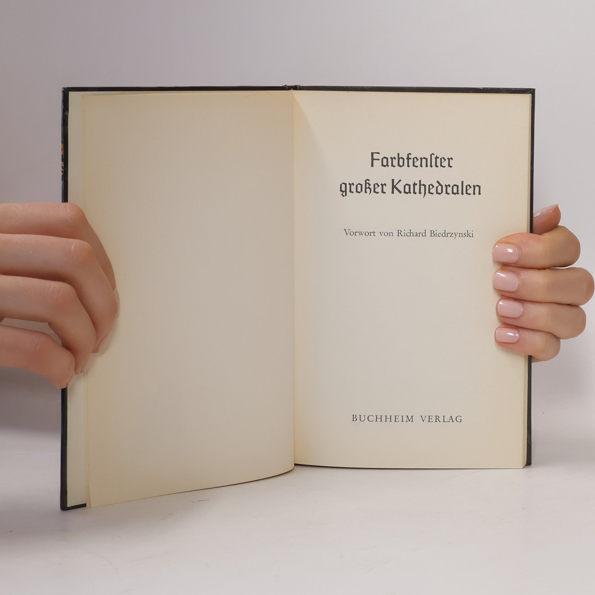 Autorenkollektiv Farbfenster grosser Kathedralen