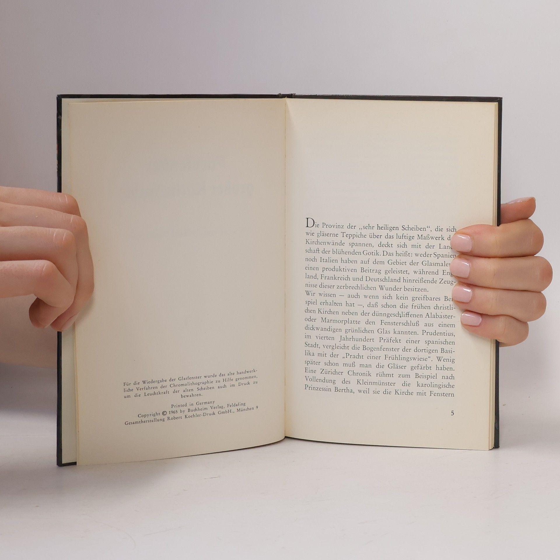 Autorenkollektiv Farbfenster grosser Kathedralen