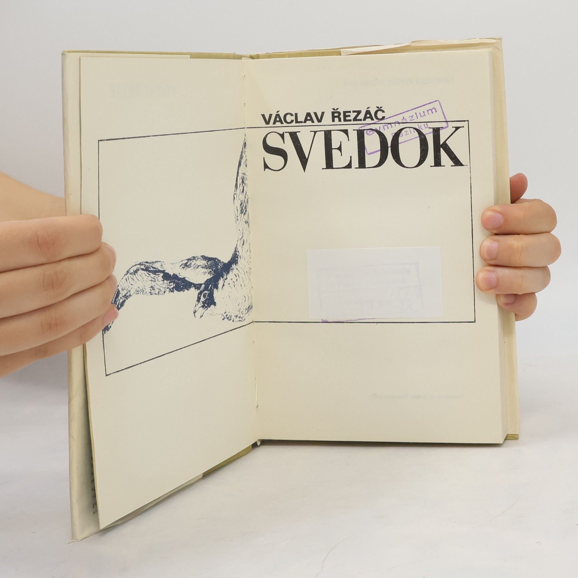 Václav Řezáč Svedok