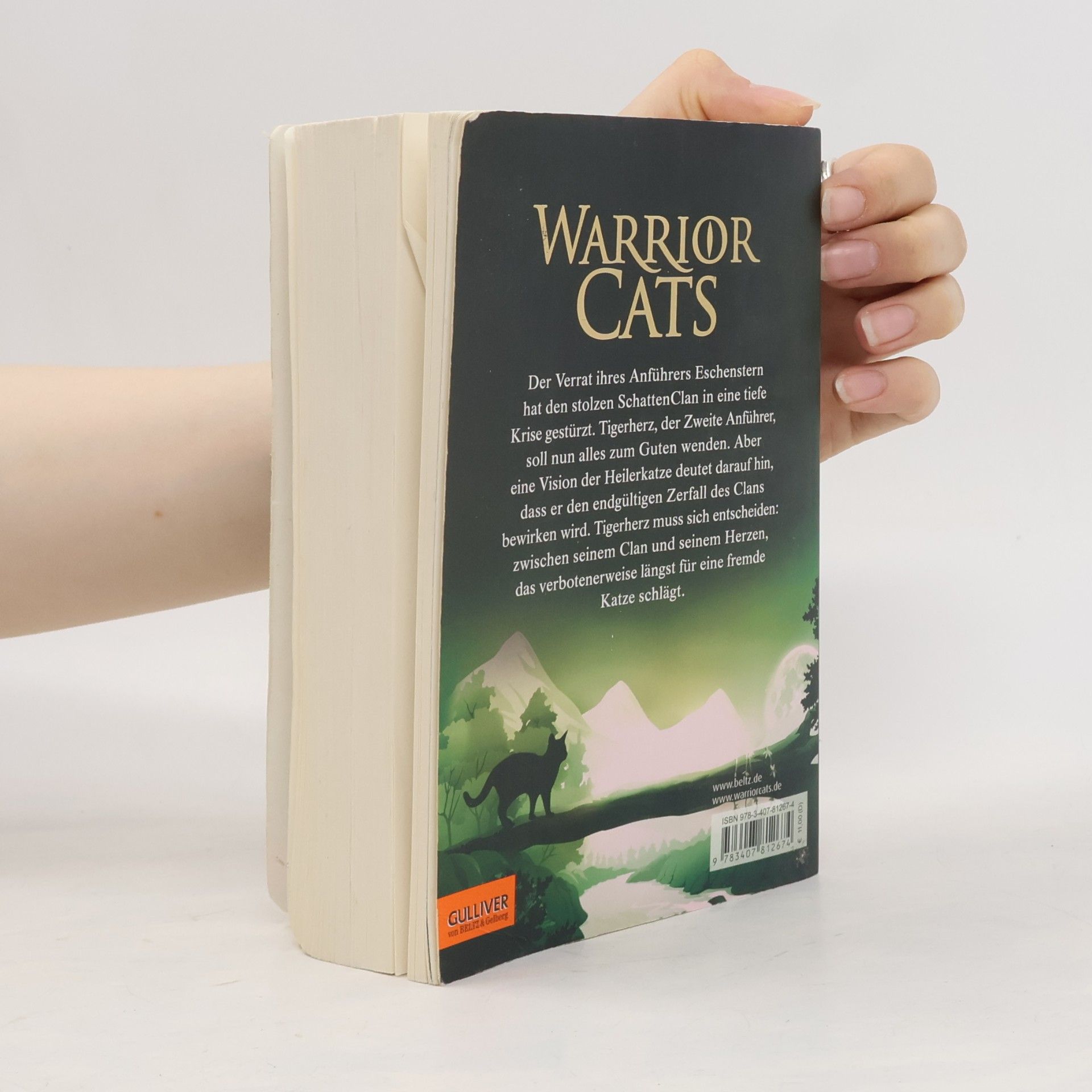 Erin Hunter Warrior Cats - Special Adventure. Tigerherz' Schatten