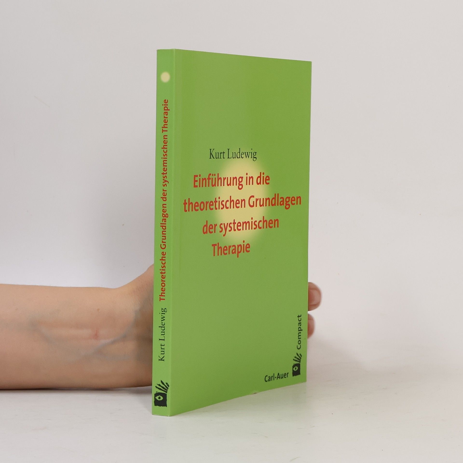Kurt Ludewig Einführung in die theoretischen Grundlagen der systemischen Therapie