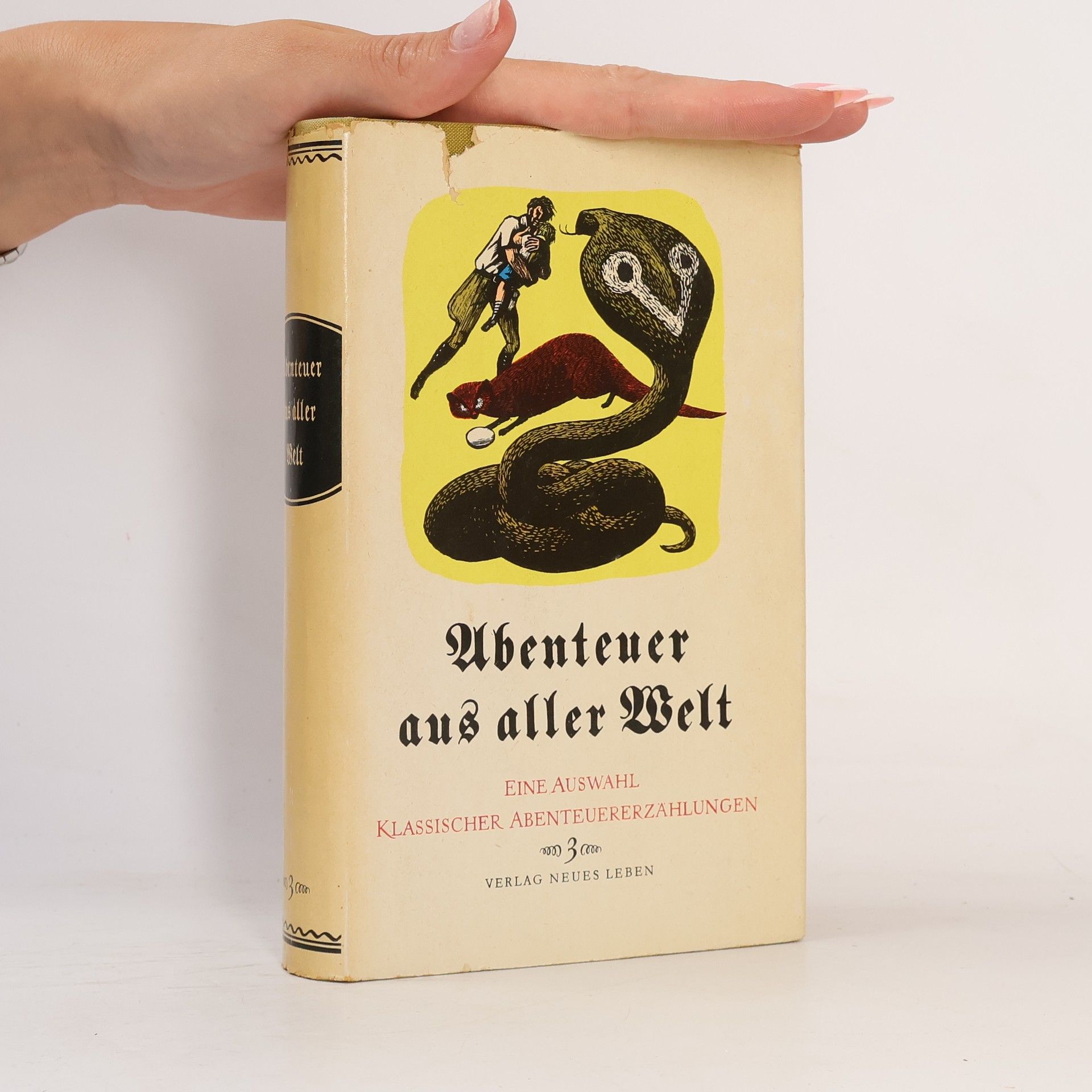 Autores varios Abenteuer aus aller Welt 3