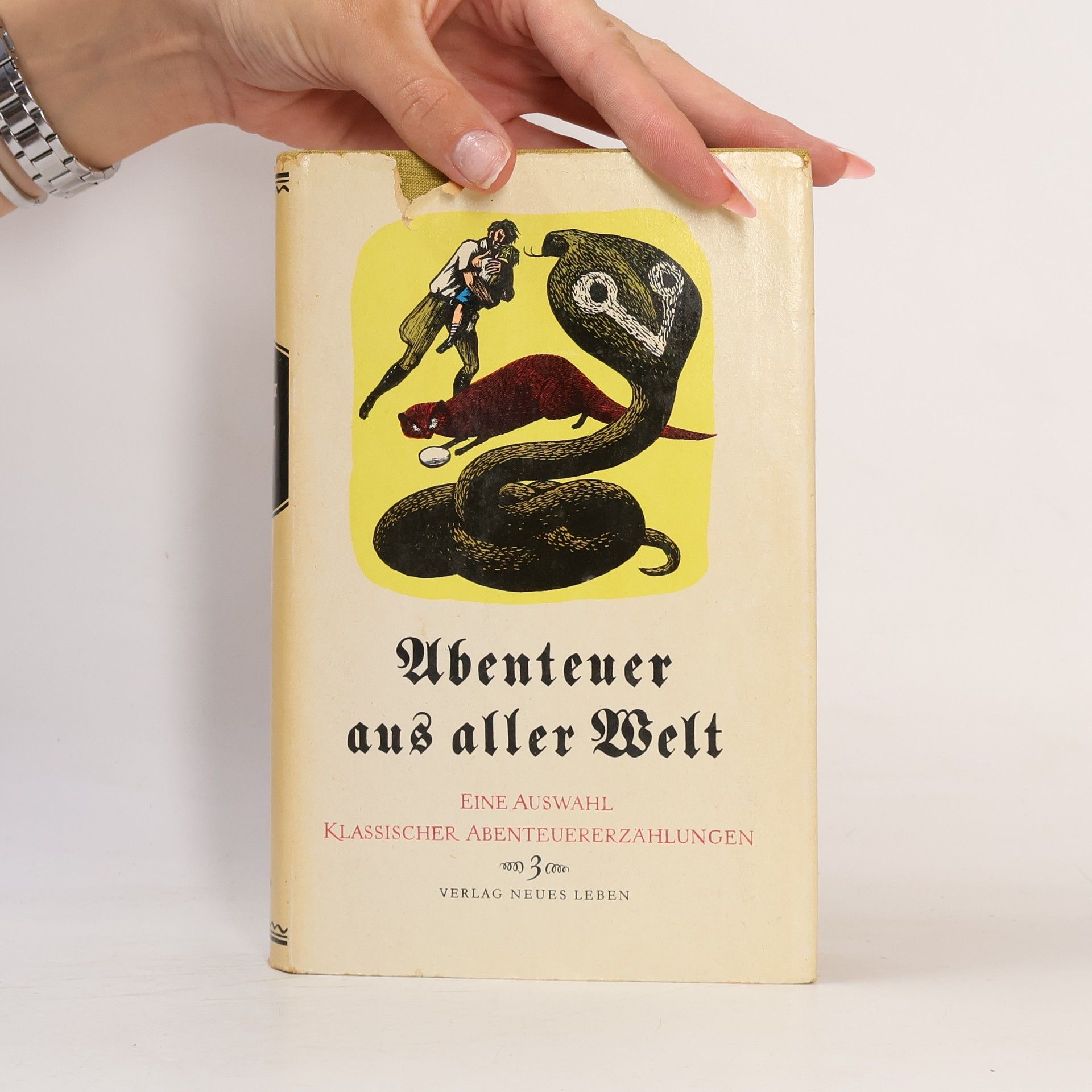 Autores varios Abenteuer aus aller Welt 3