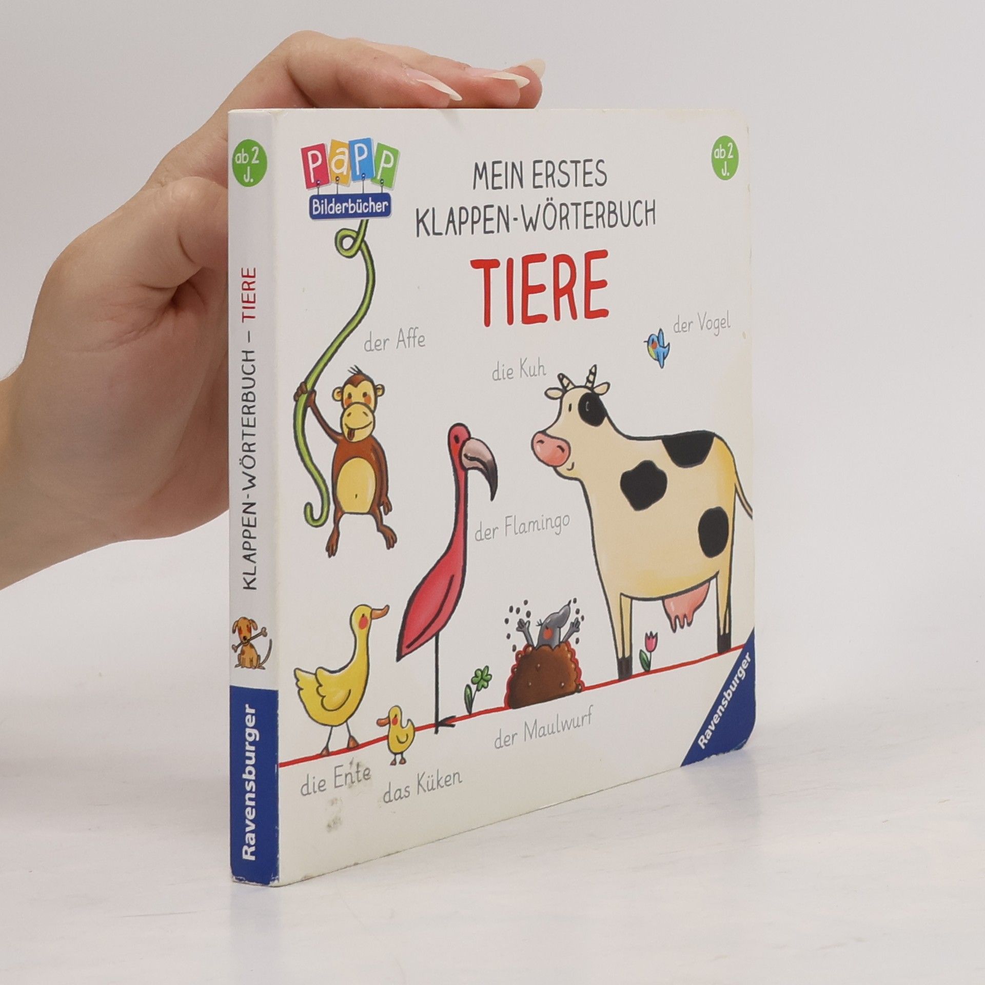 Mein erstes Klappen-Wörterbuch