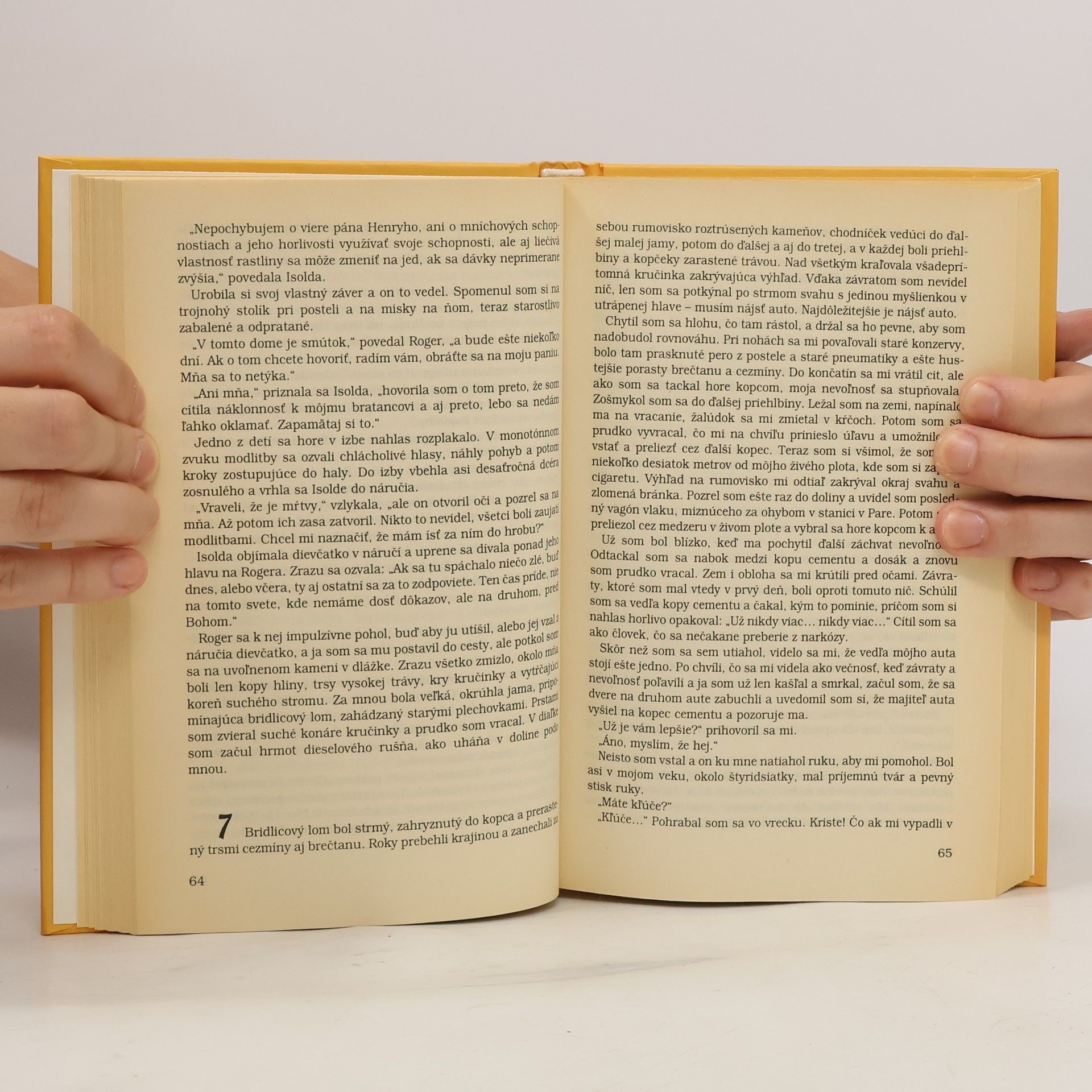 Daphne du Maurier Dom na pobreží