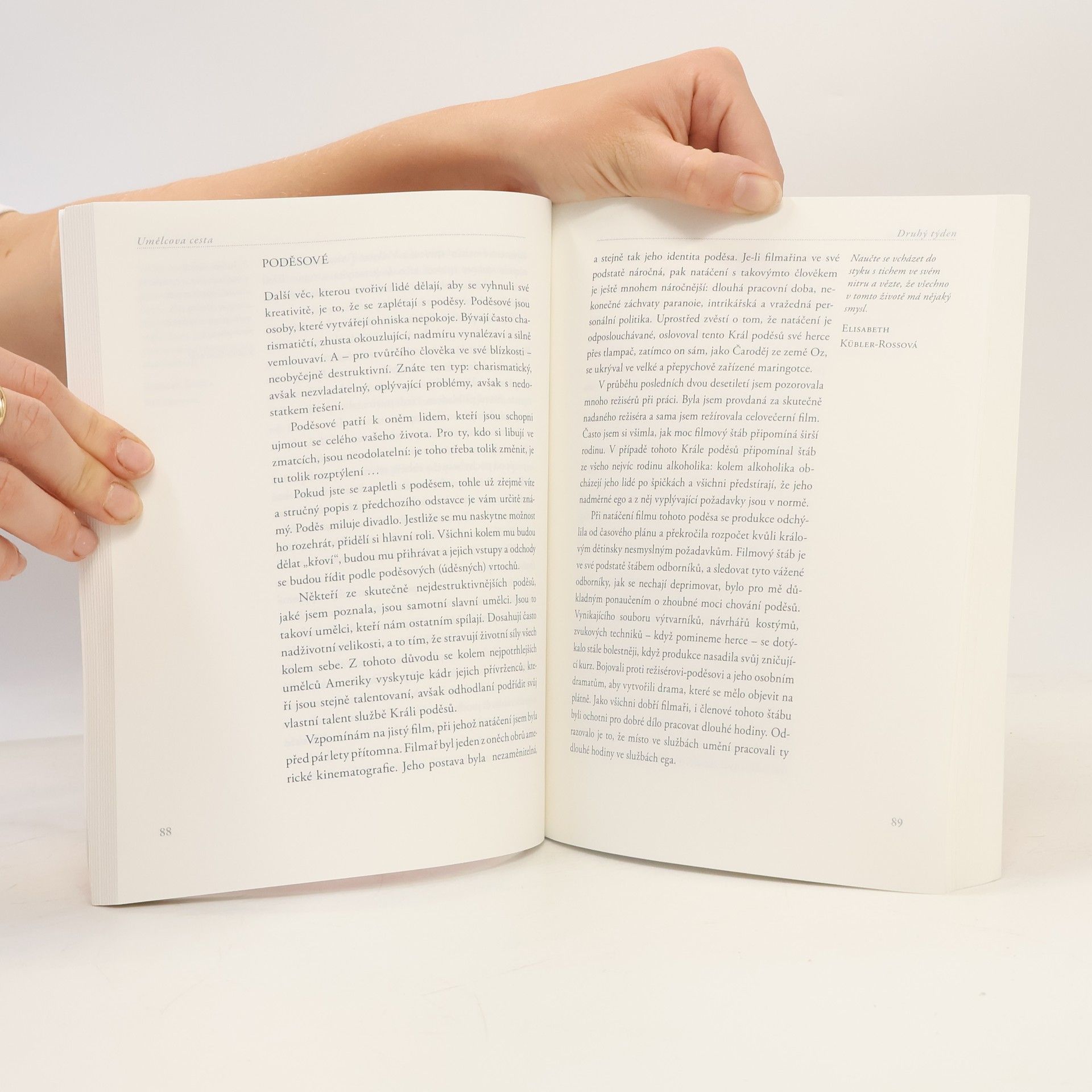 Julia Cameron Umělcova cesta. Duchovní cesta k vyšší kreativitě