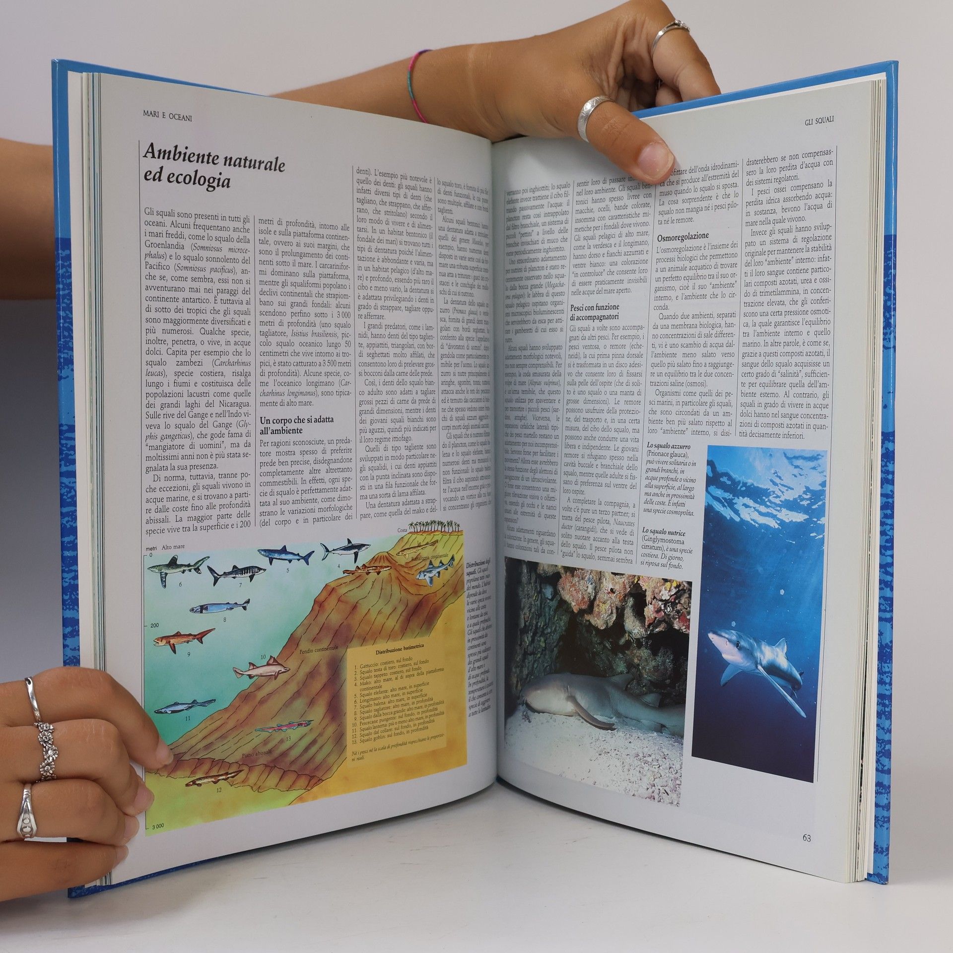 Various authors Gli animali e il loro ambiente - Mari e oceani